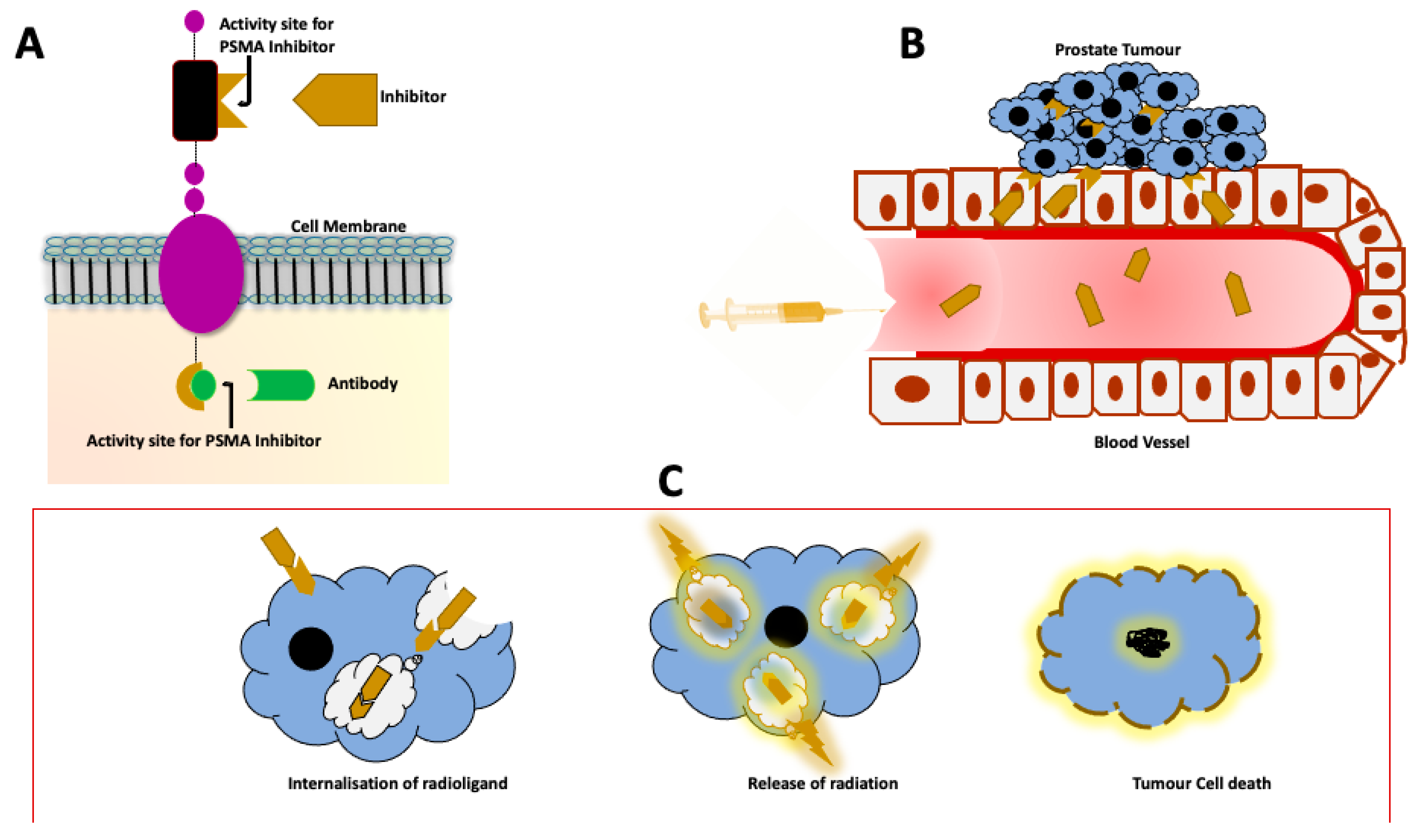 Cancers 13 03904 g001