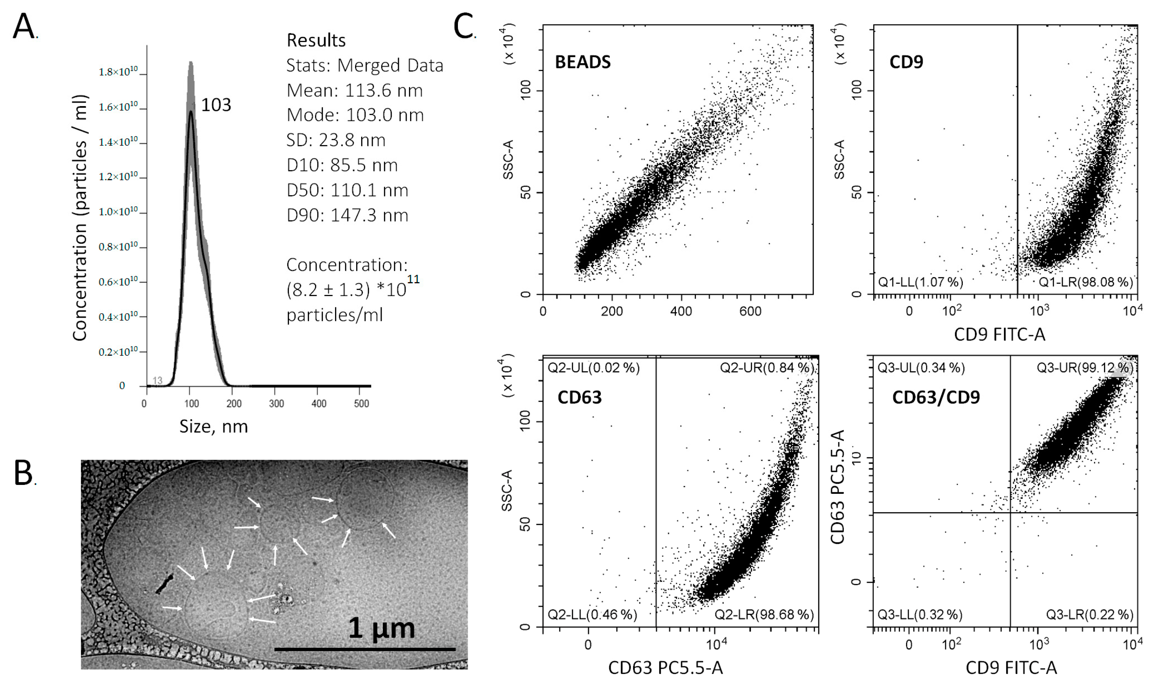 Cancers 13 03905 g001
