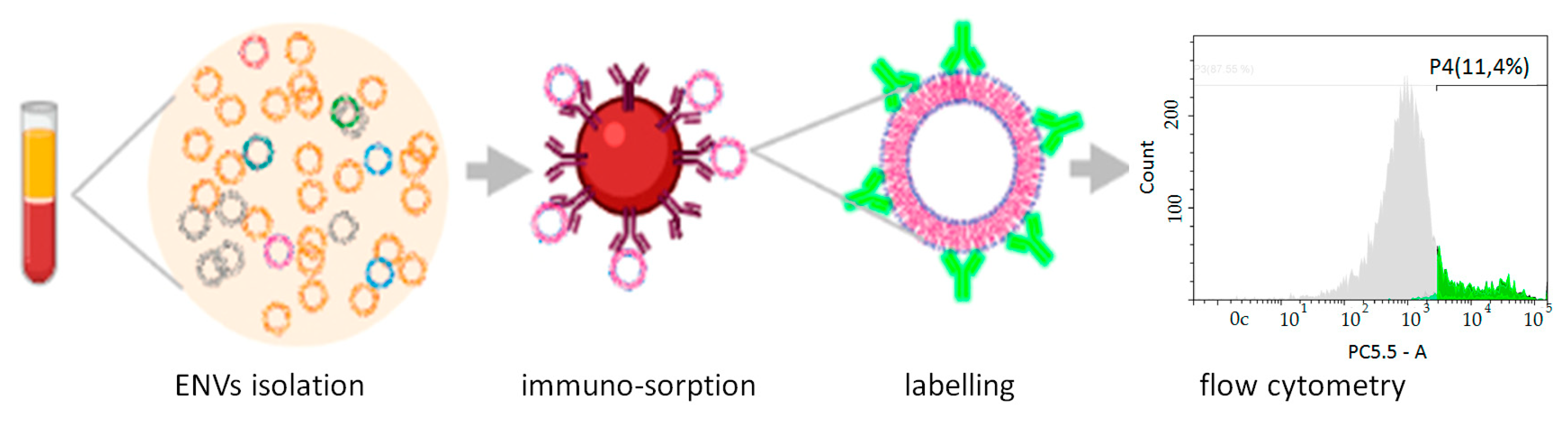 Cancers 13 03905 g002