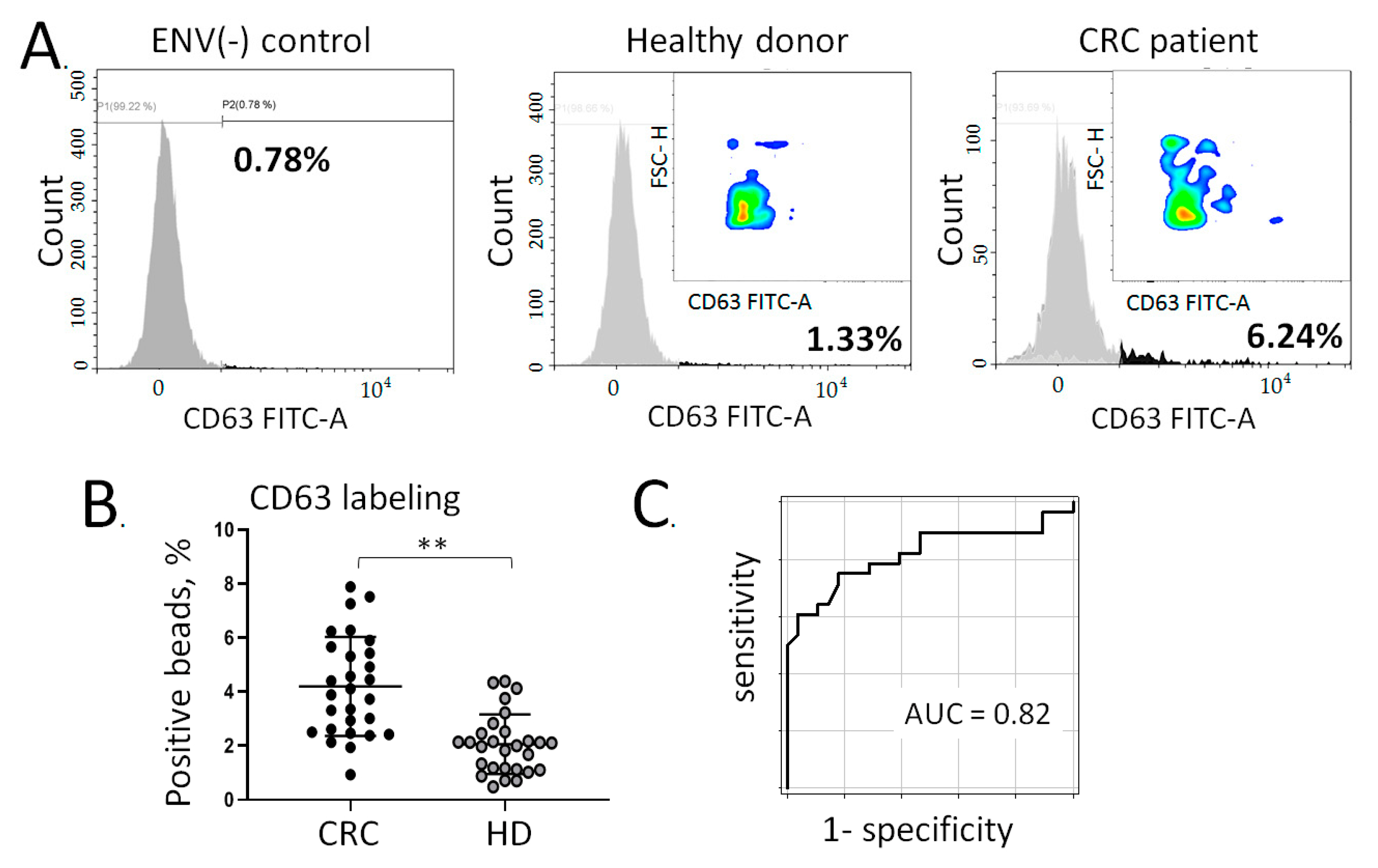 Cancers 13 03905 g004