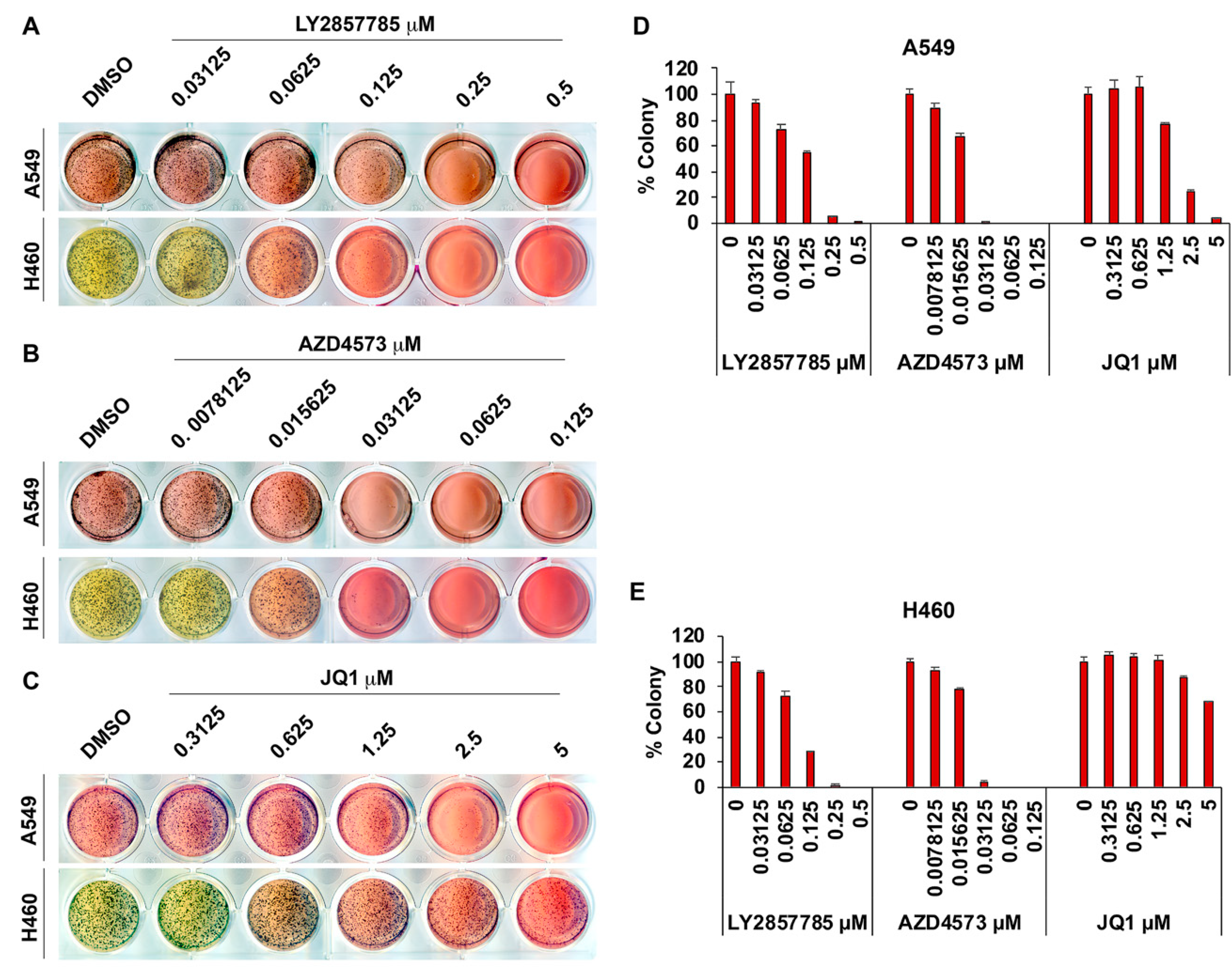 Cancers 13 03906 g004