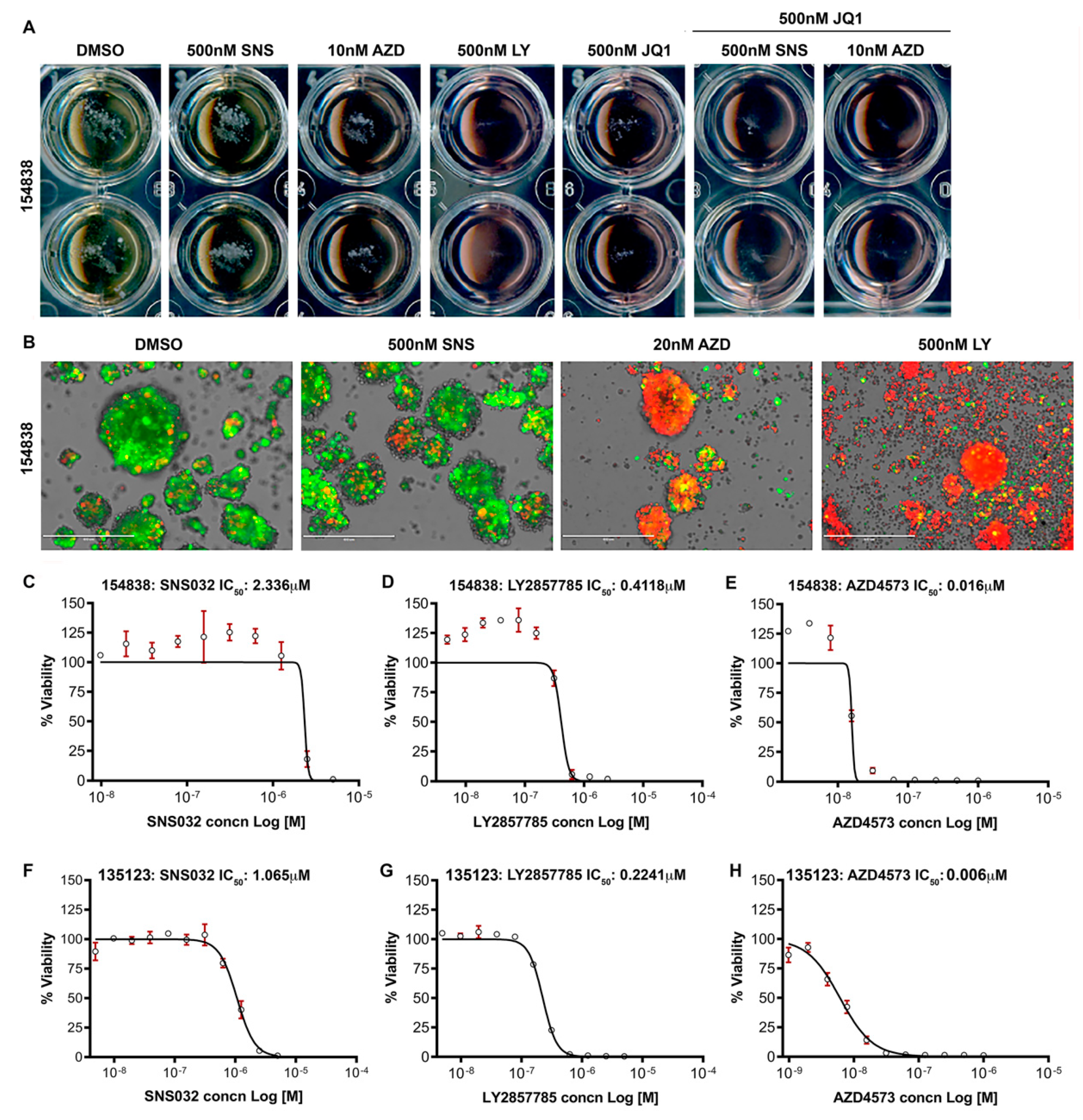 Cancers 13 03906 g007