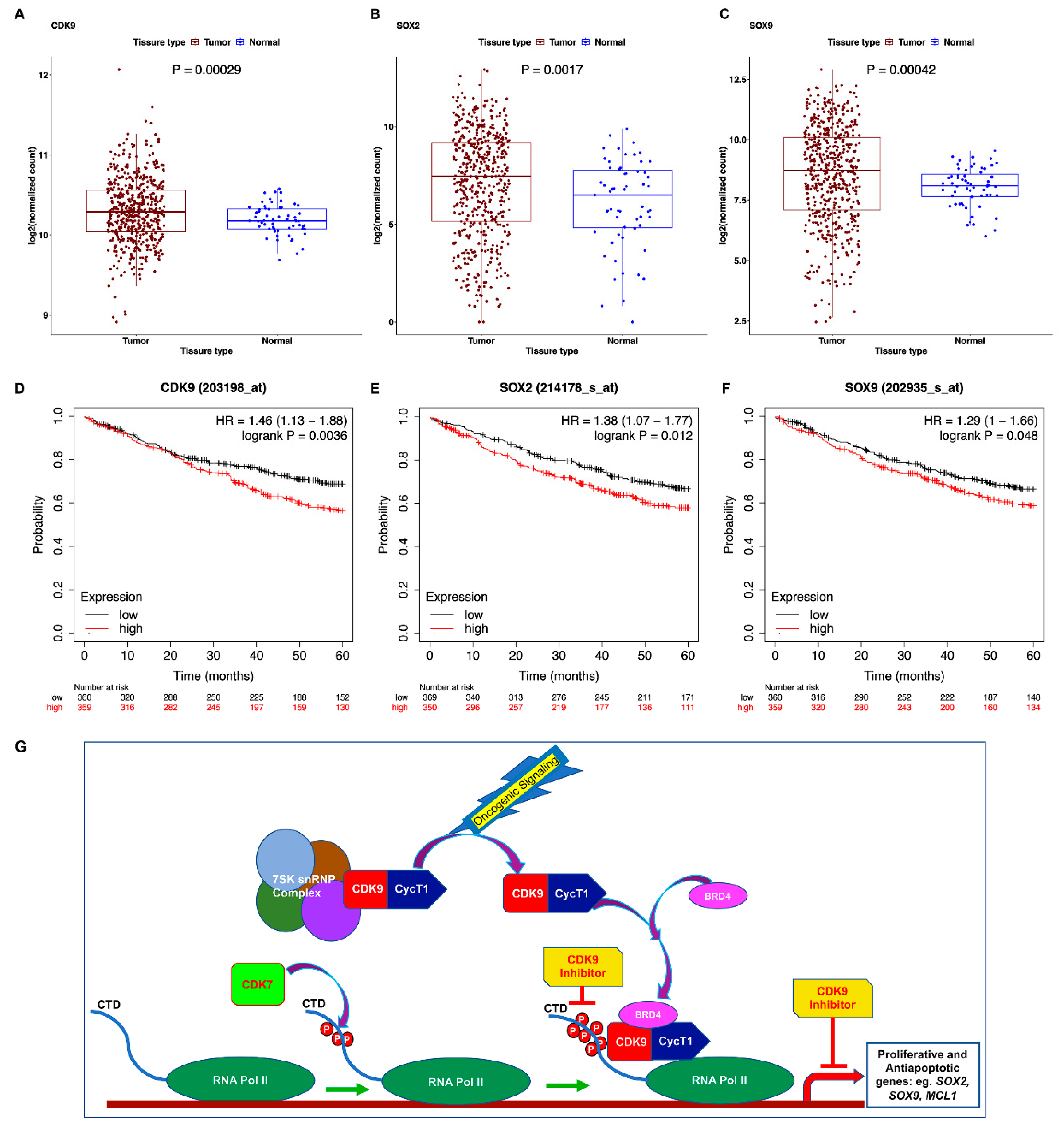 Cancers 13 03906 g008