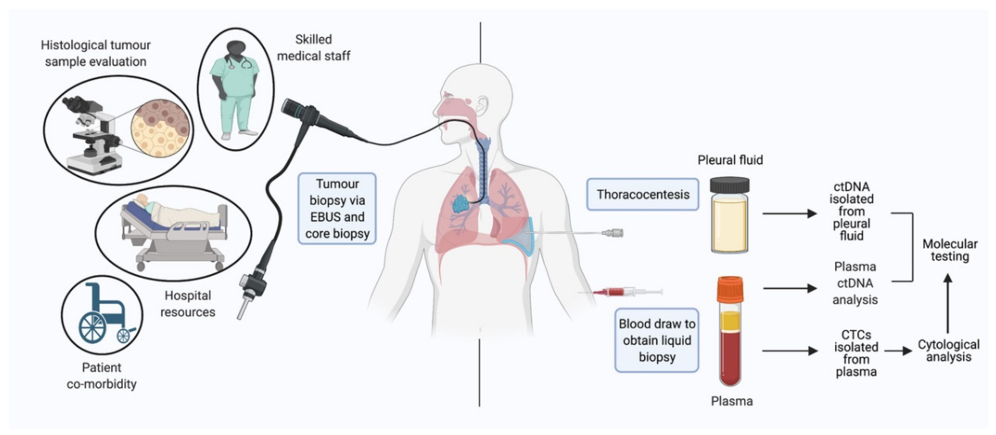 Cancers 13 03923 g001