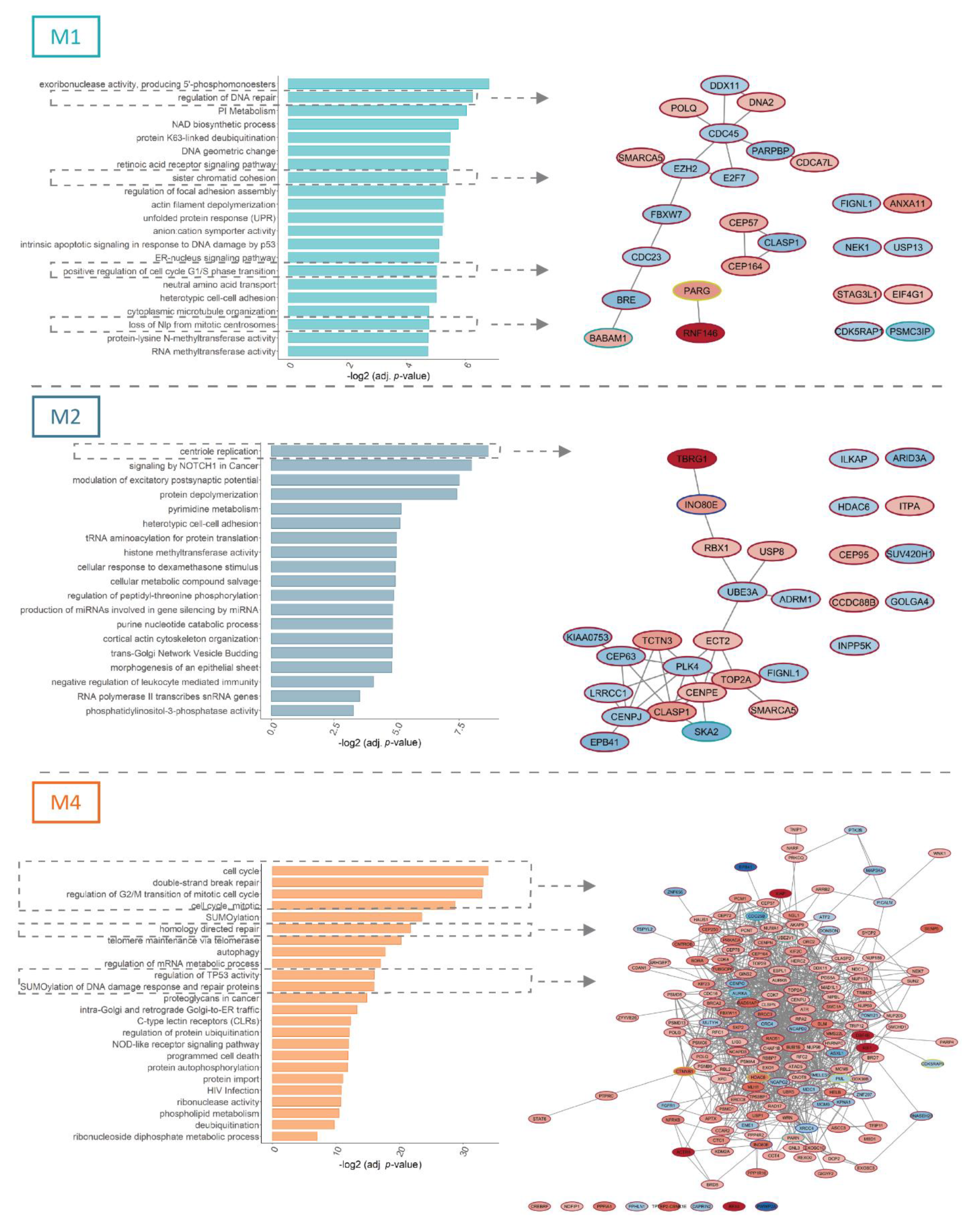 Cancers 13 03929 g002