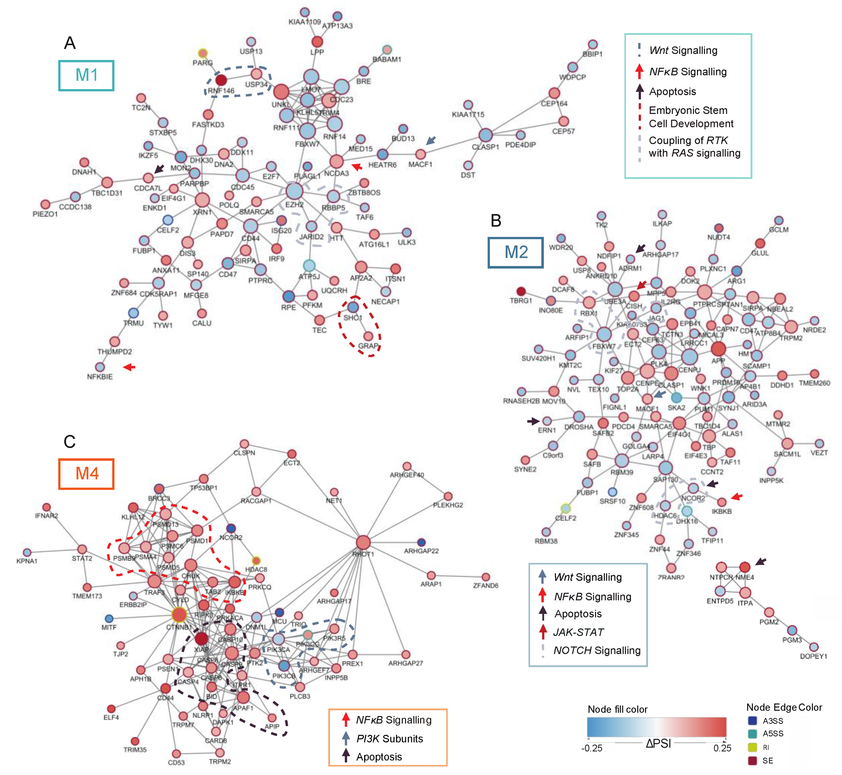 Cancers 13 03929 g003