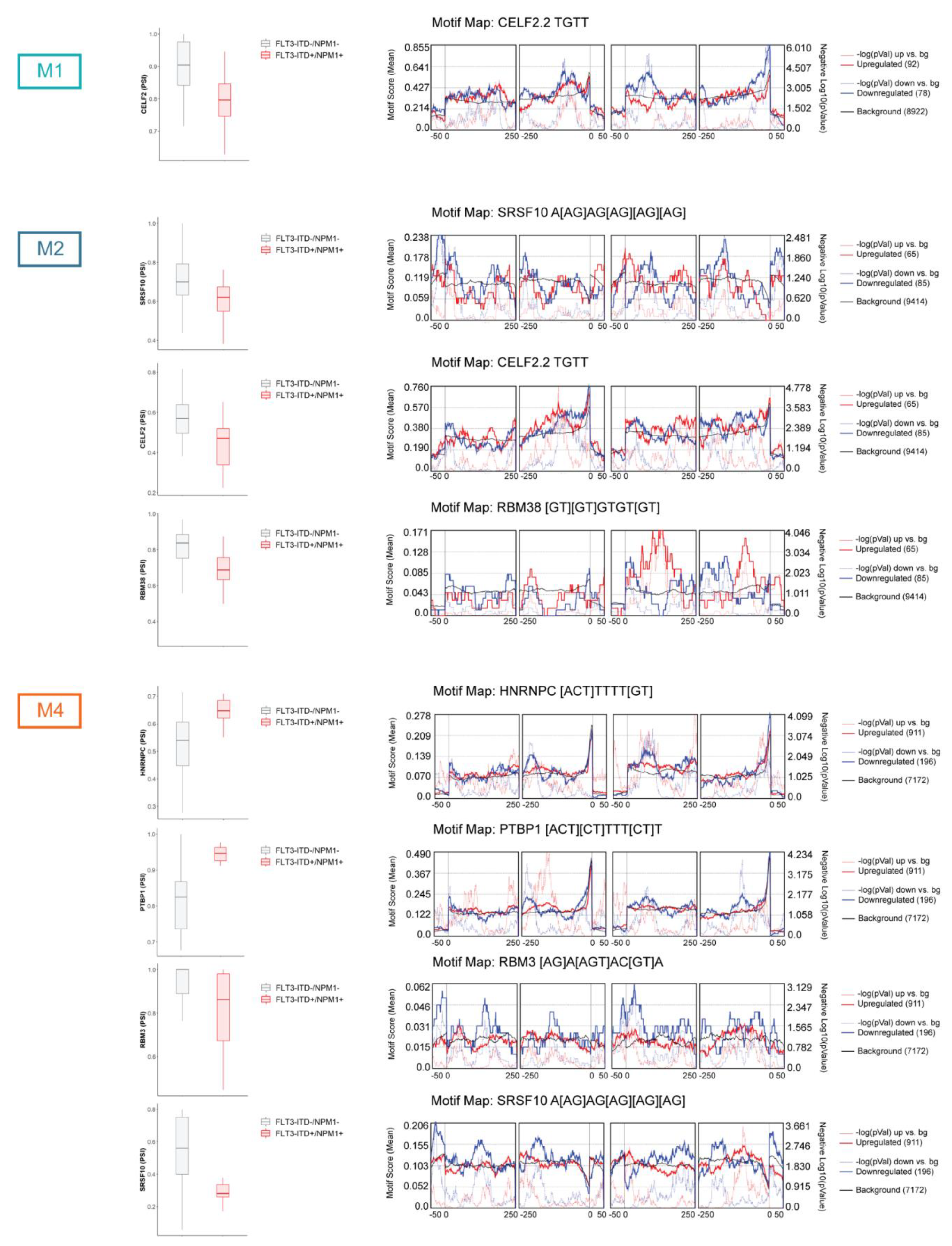 Cancers 13 03929 g004