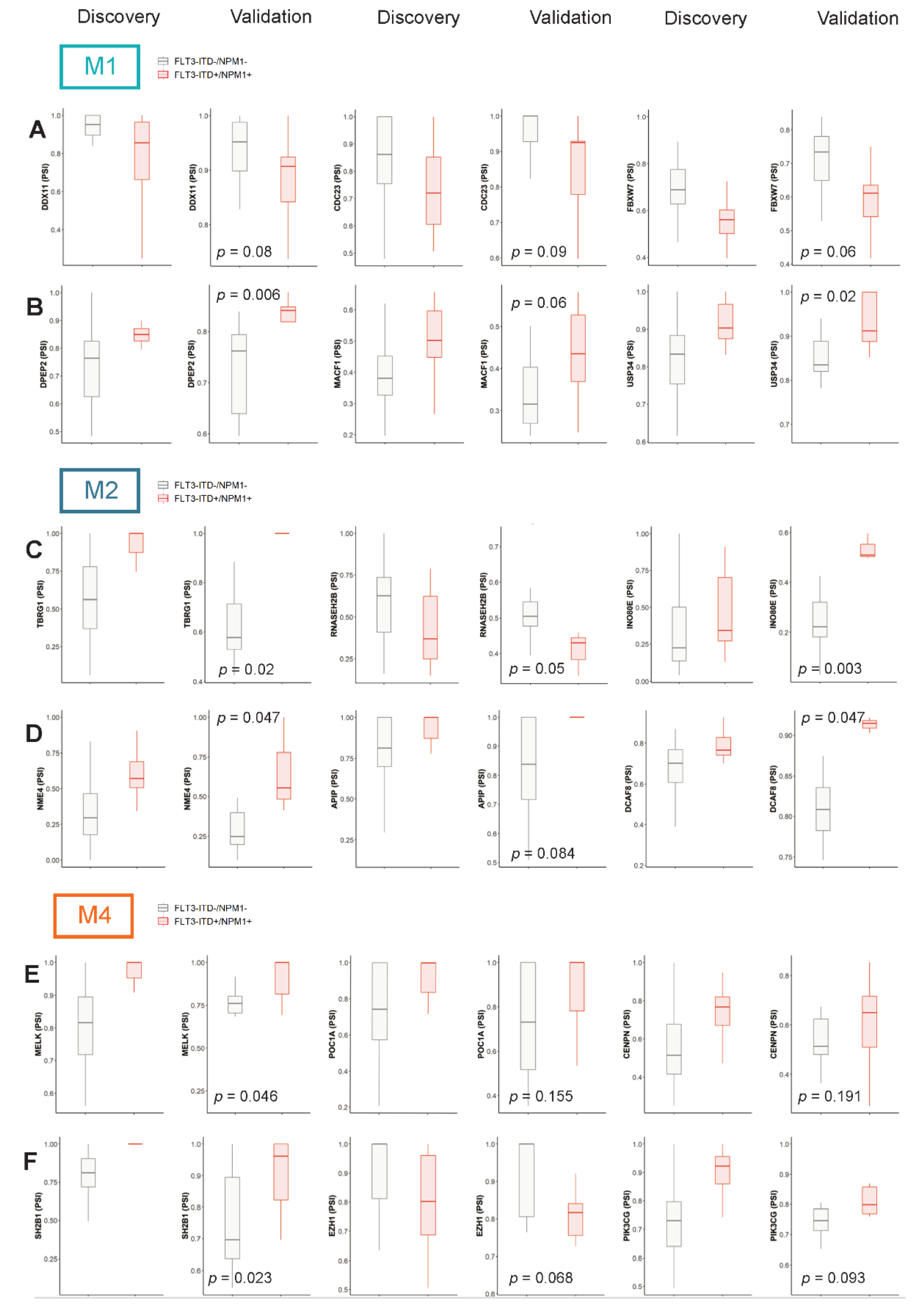 Cancers 13 03929 g005