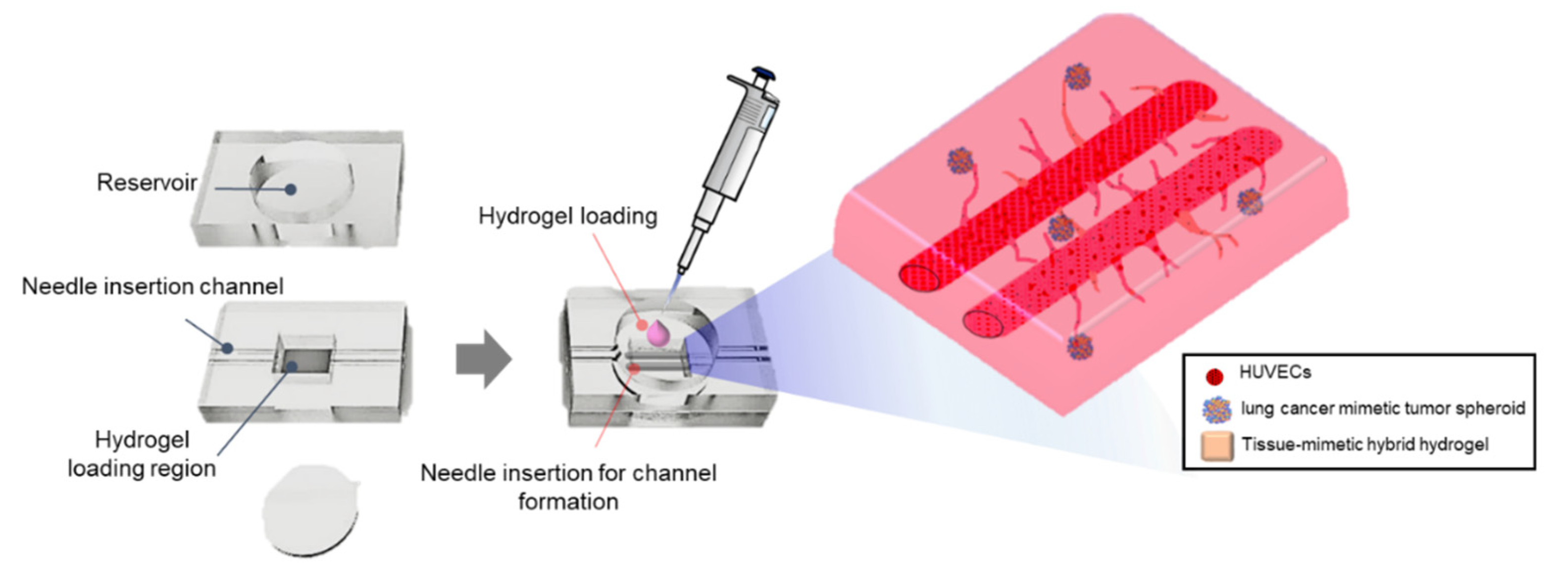 Cancers 13 03930 g001
