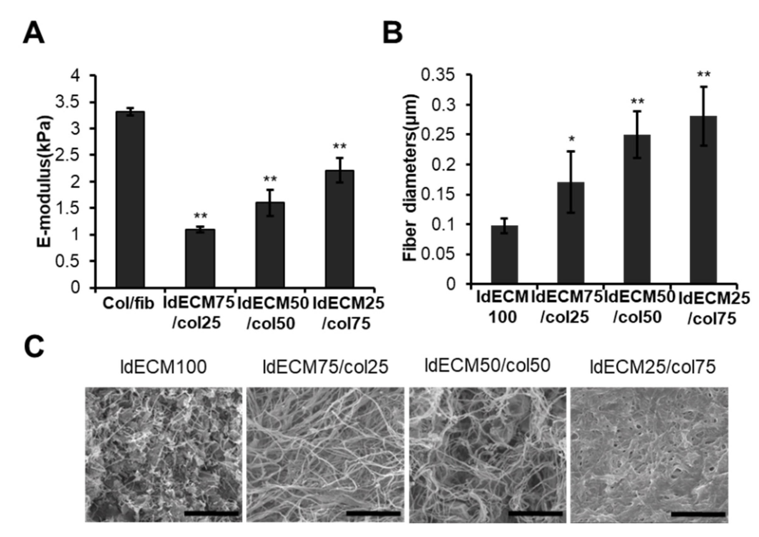 Cancers 13 03930 g002