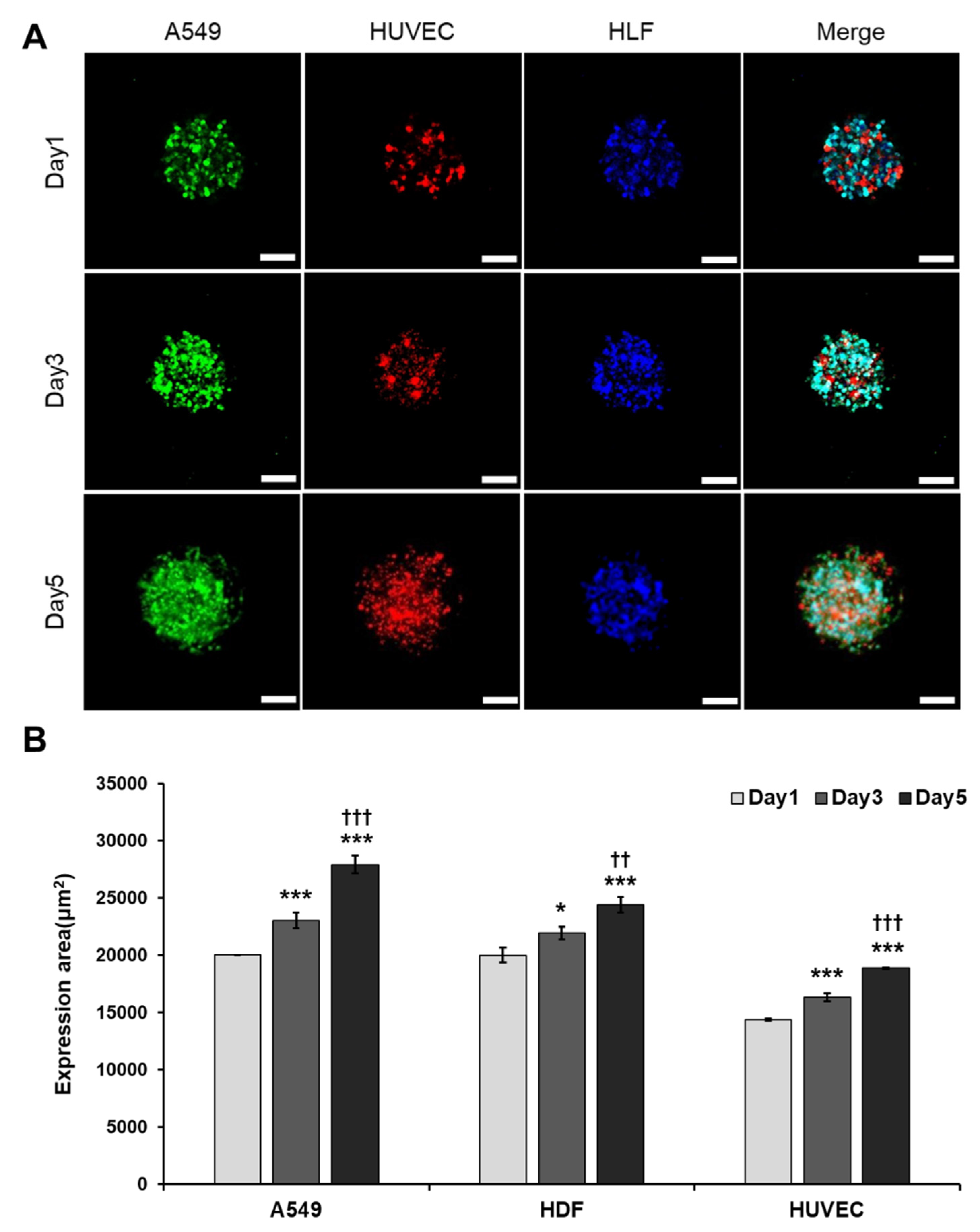 Cancers 13 03930 g004