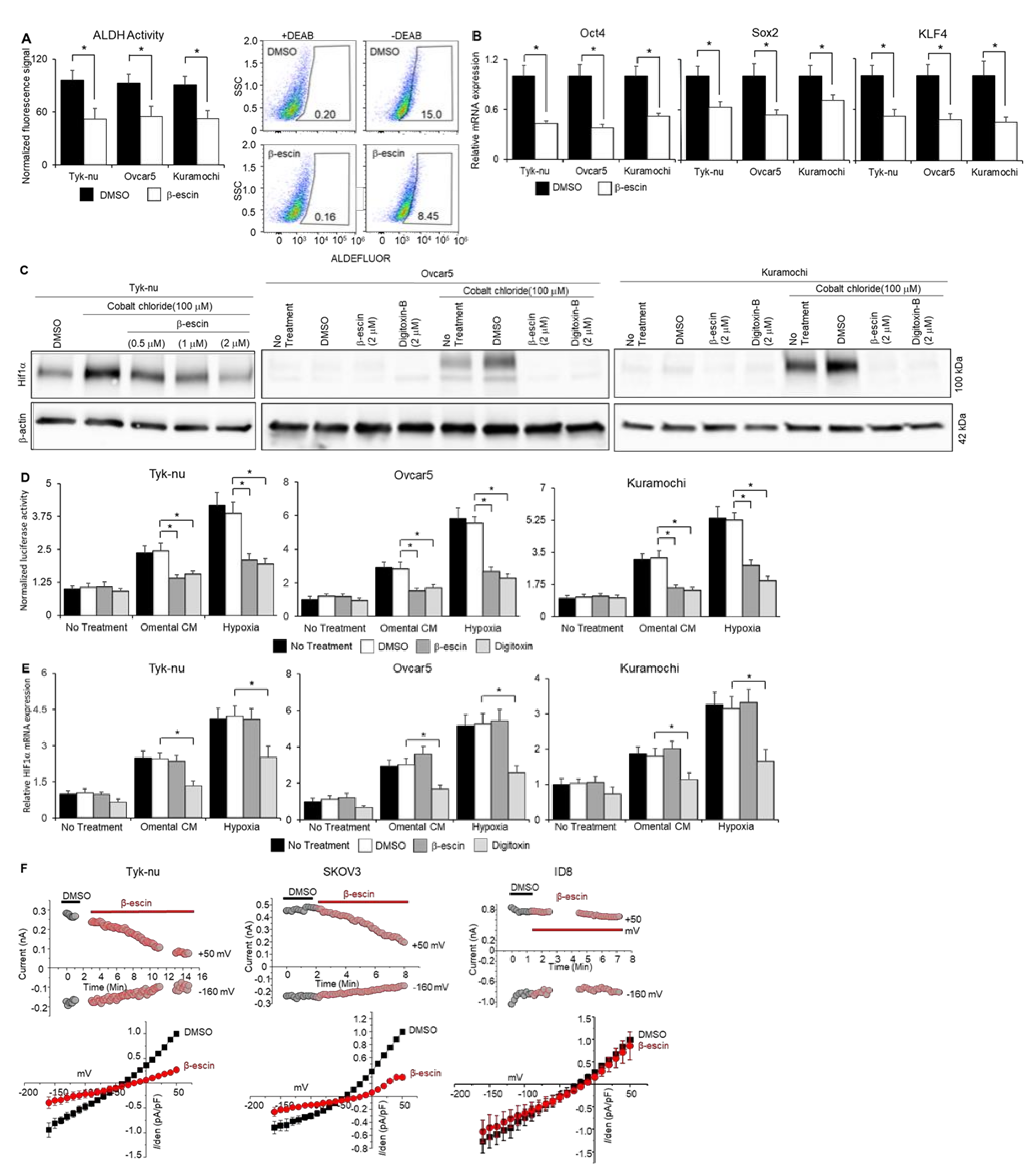Cancers 13 03931 g003