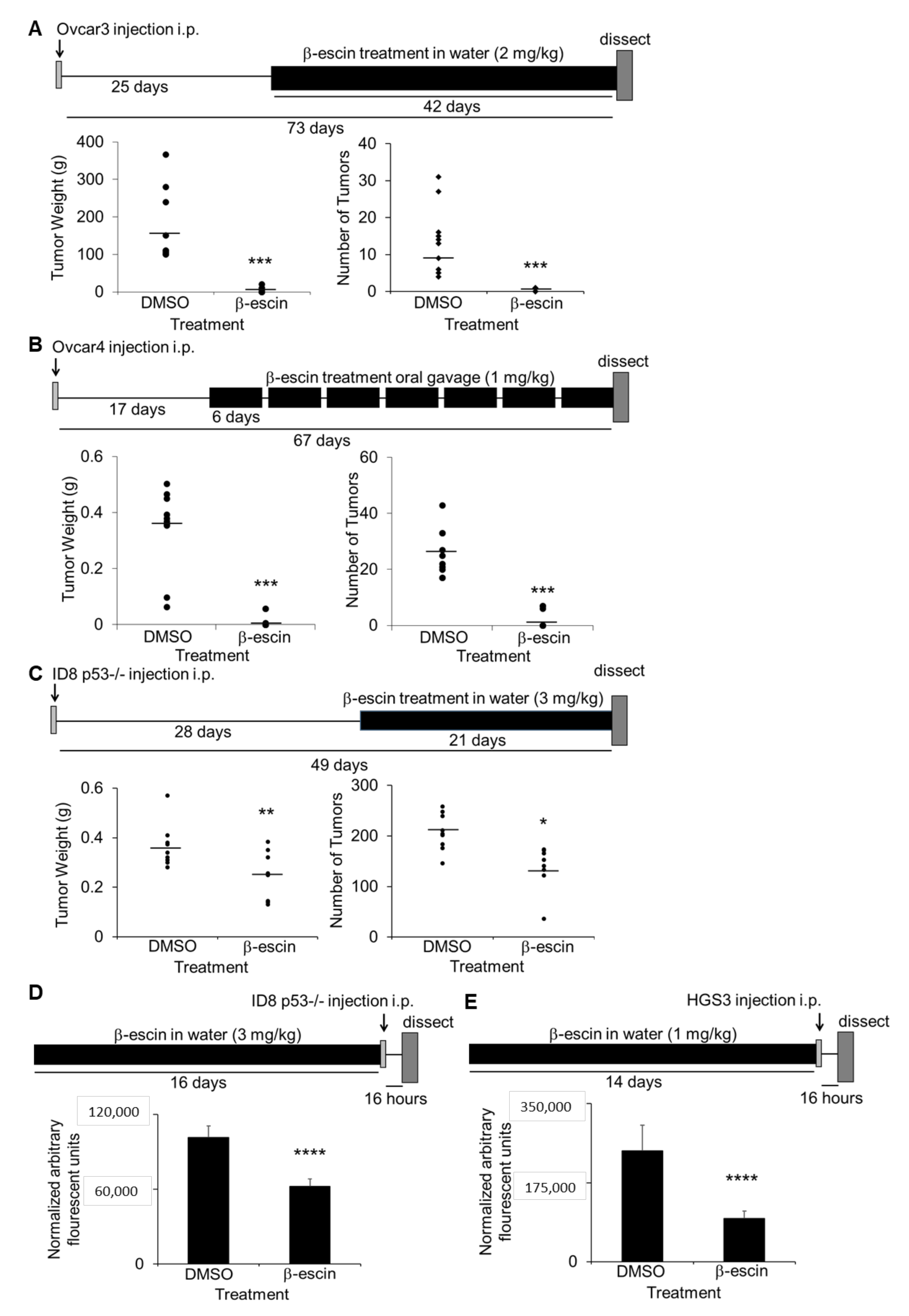 Cancers 13 03931 g005