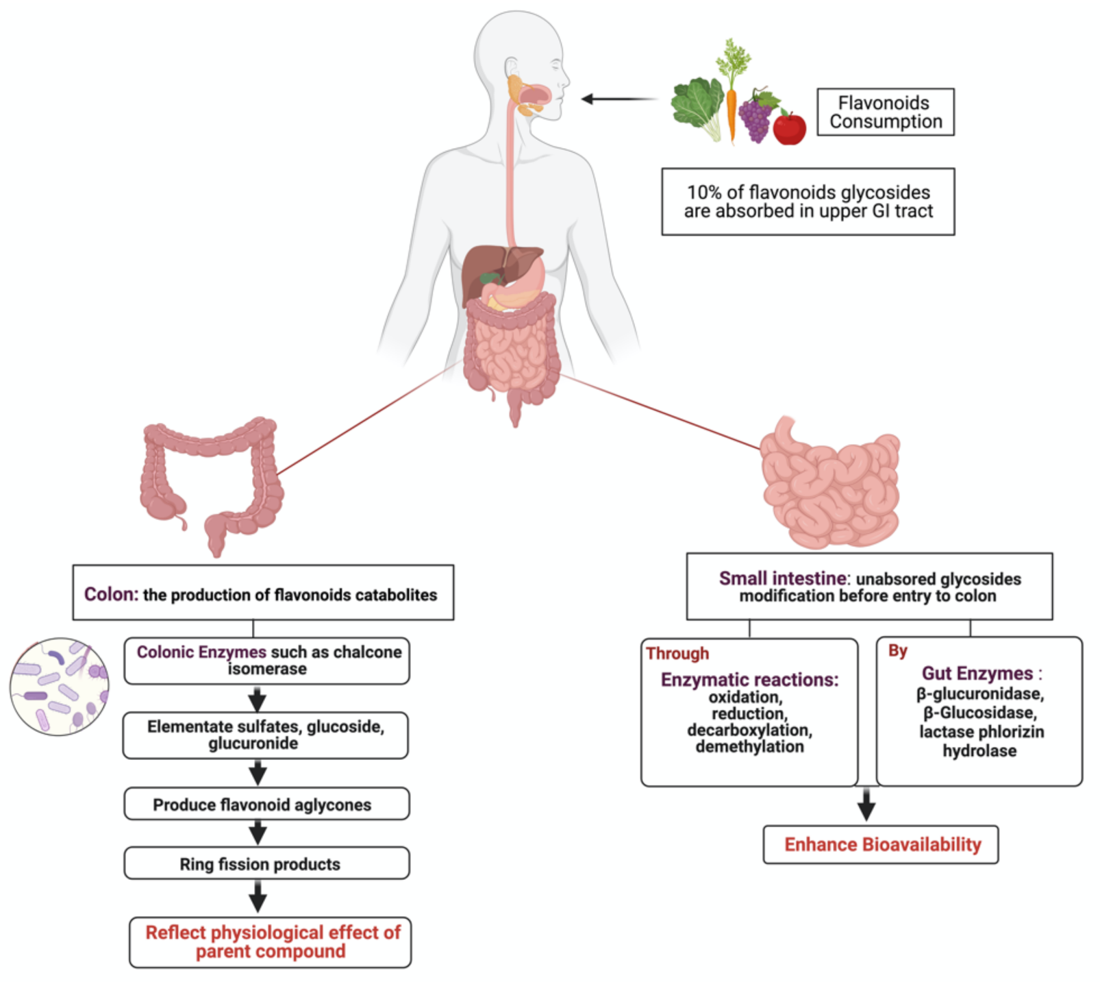 Cancers 13 03934 g001