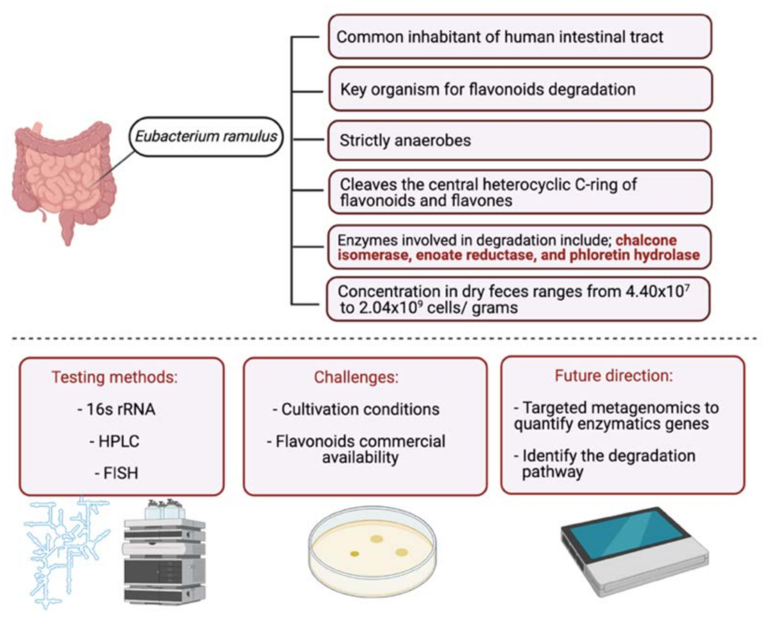 Cancers 13 03934 g002