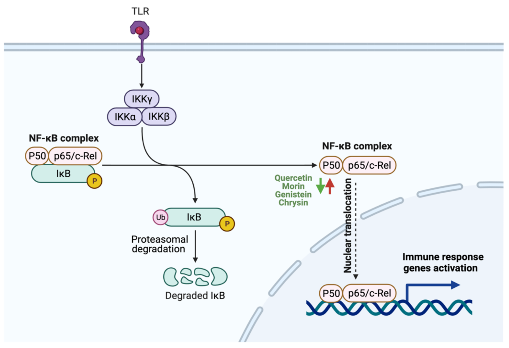 Cancers 13 03934 g005