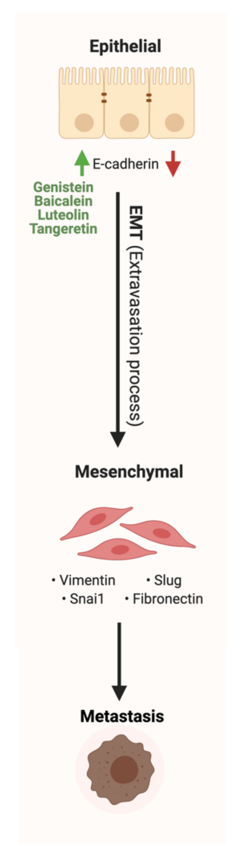 Cancers 13 03934 g006