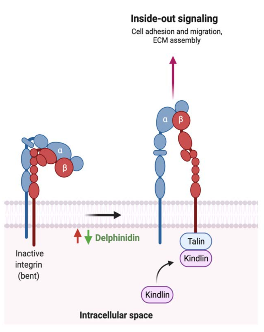 Cancers 13 03934 g008