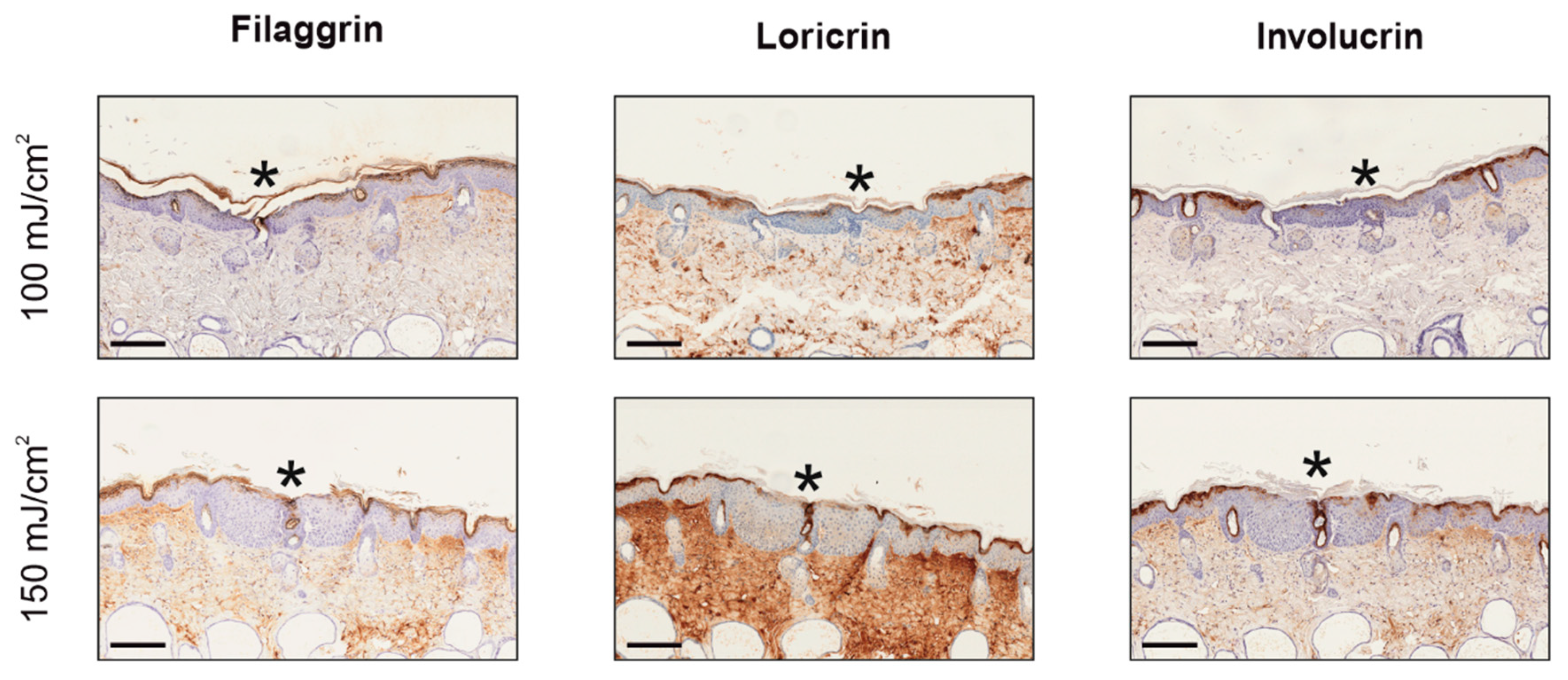 Cancers 13 03935 g0a1