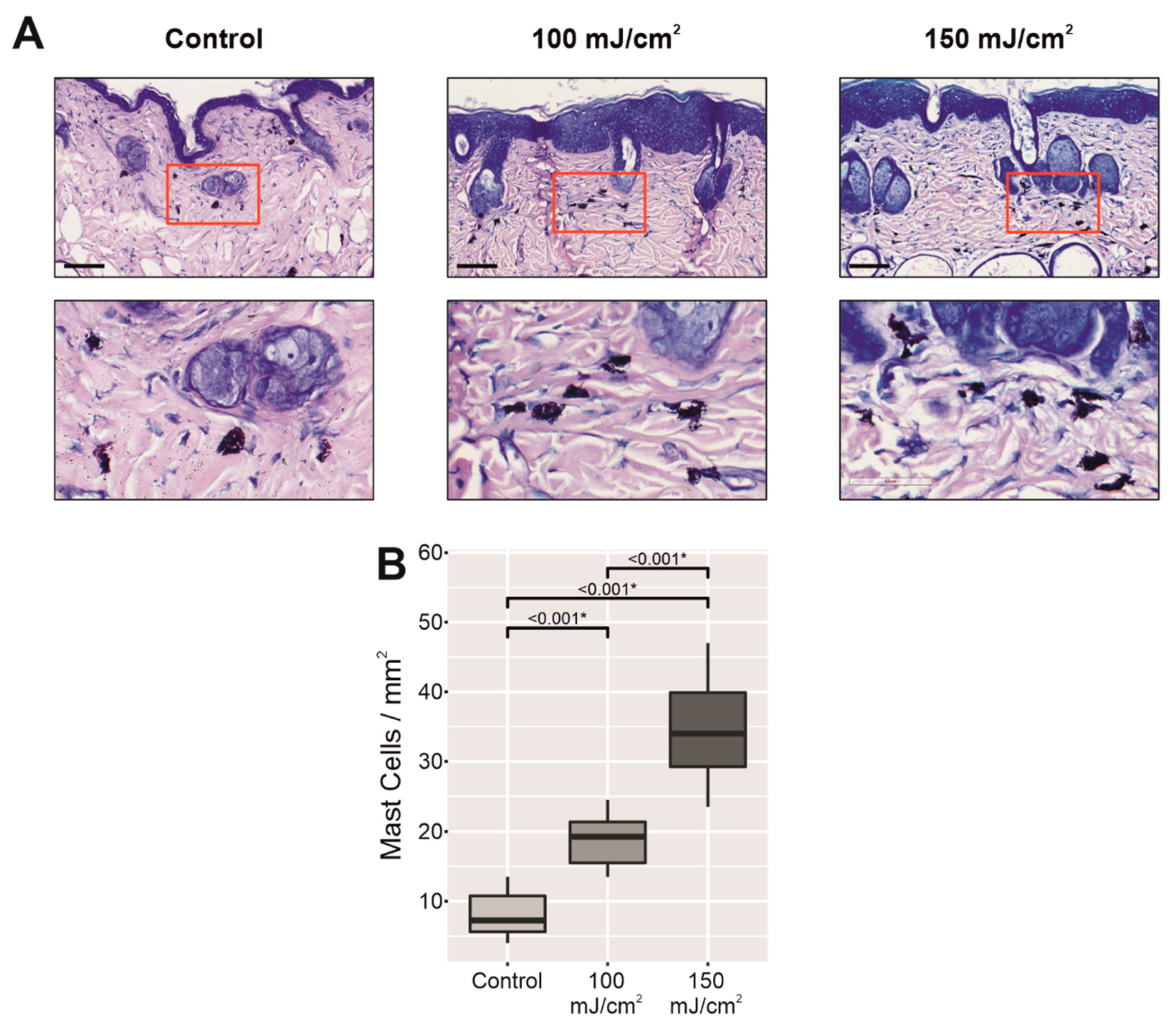 Cancers 13 03935 g0a2