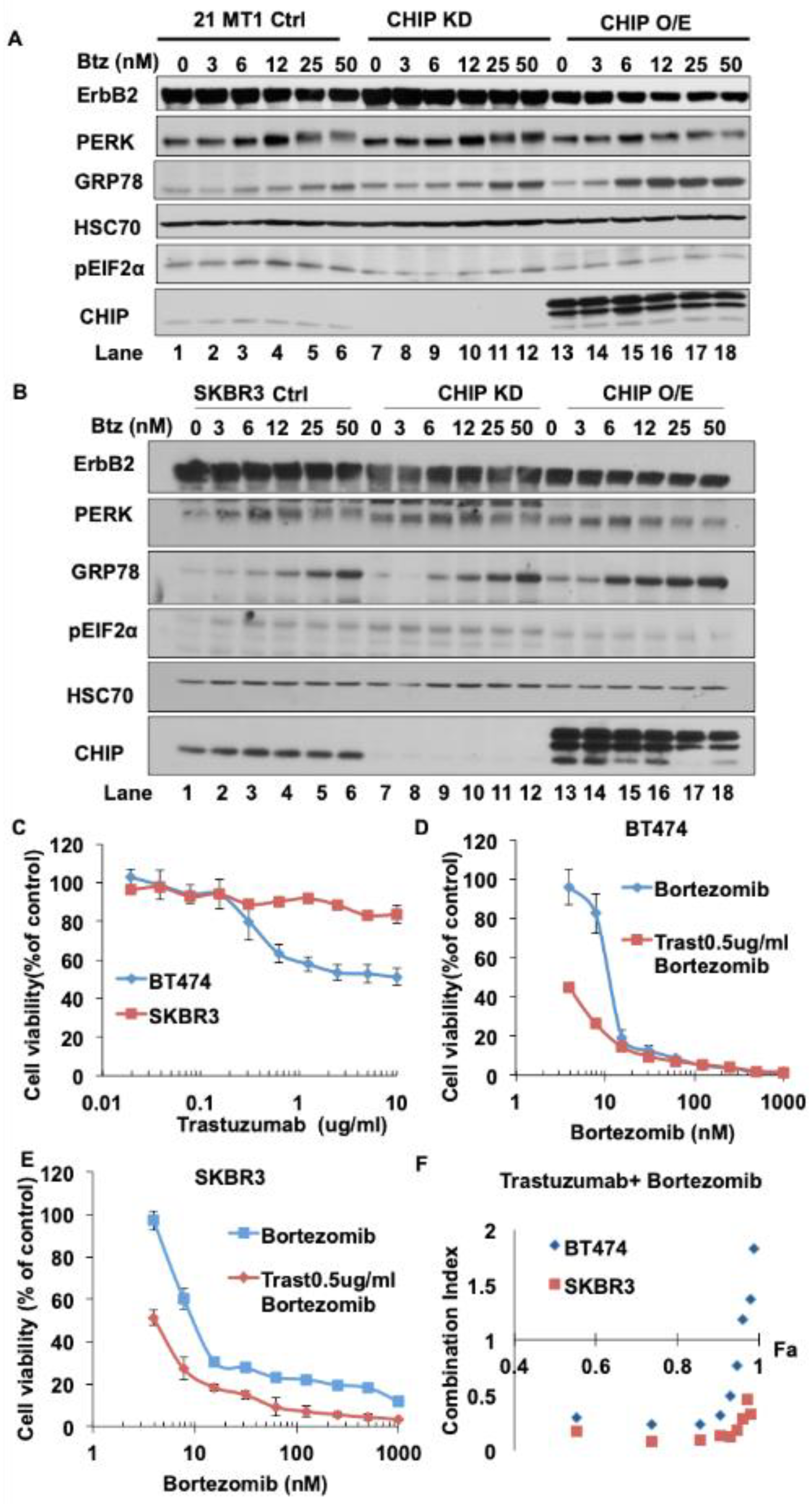 Cancers 13 03936 g005