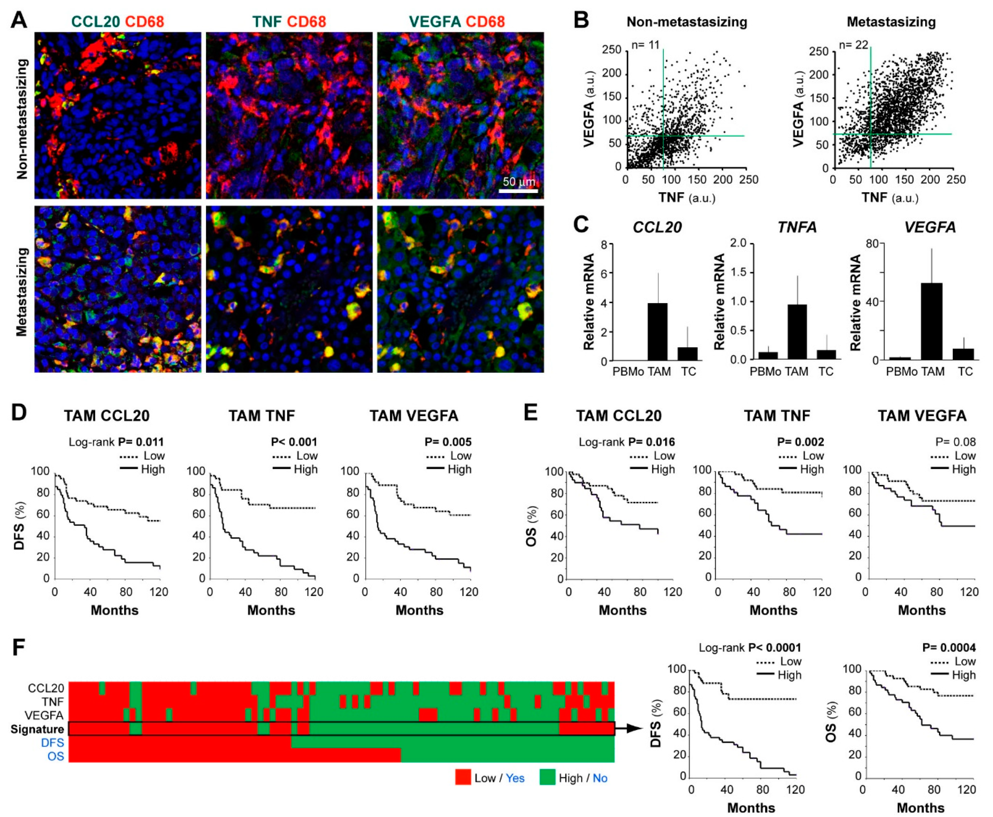 Cancers 13 03943 g002