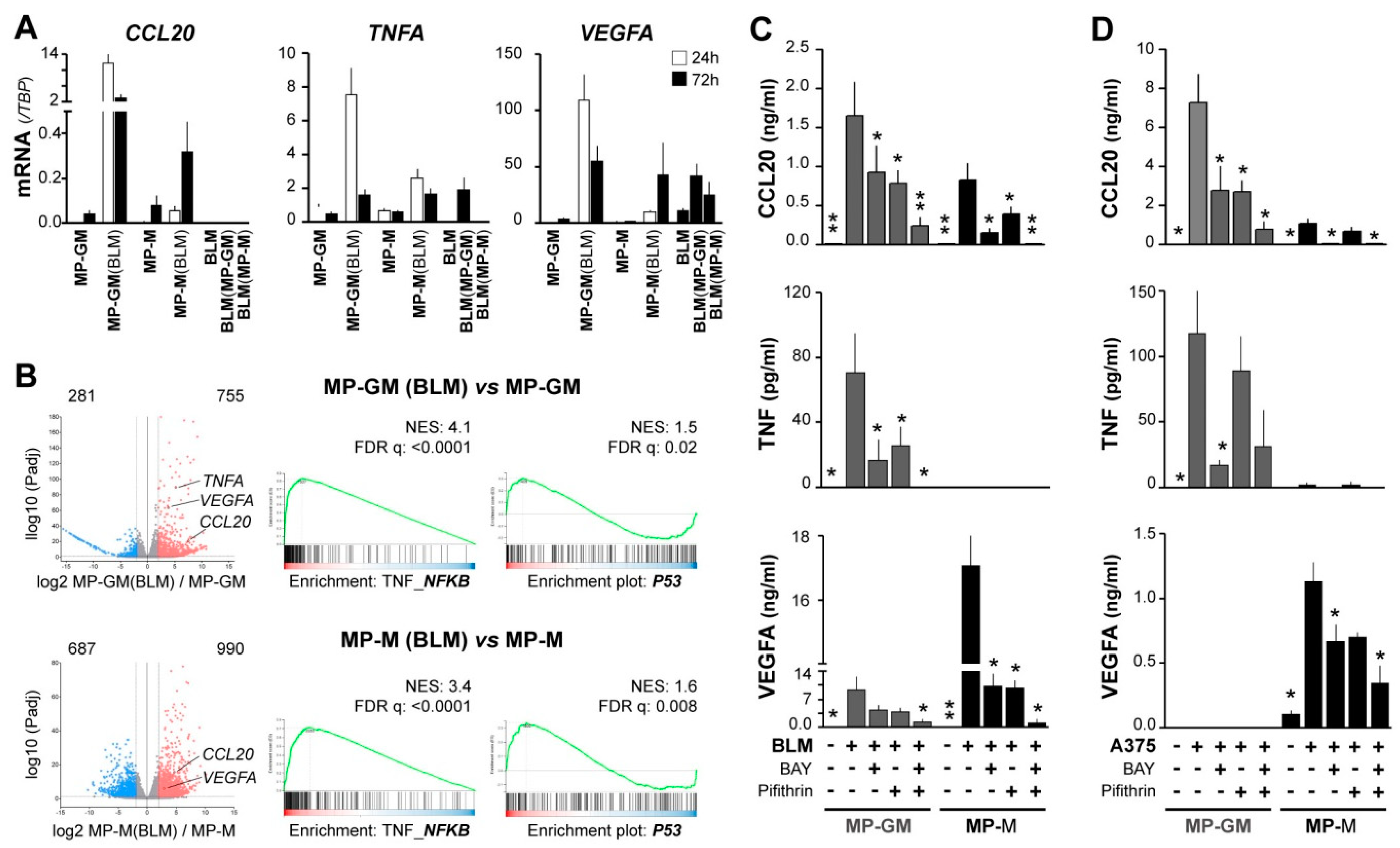 Cancers 13 03943 g003