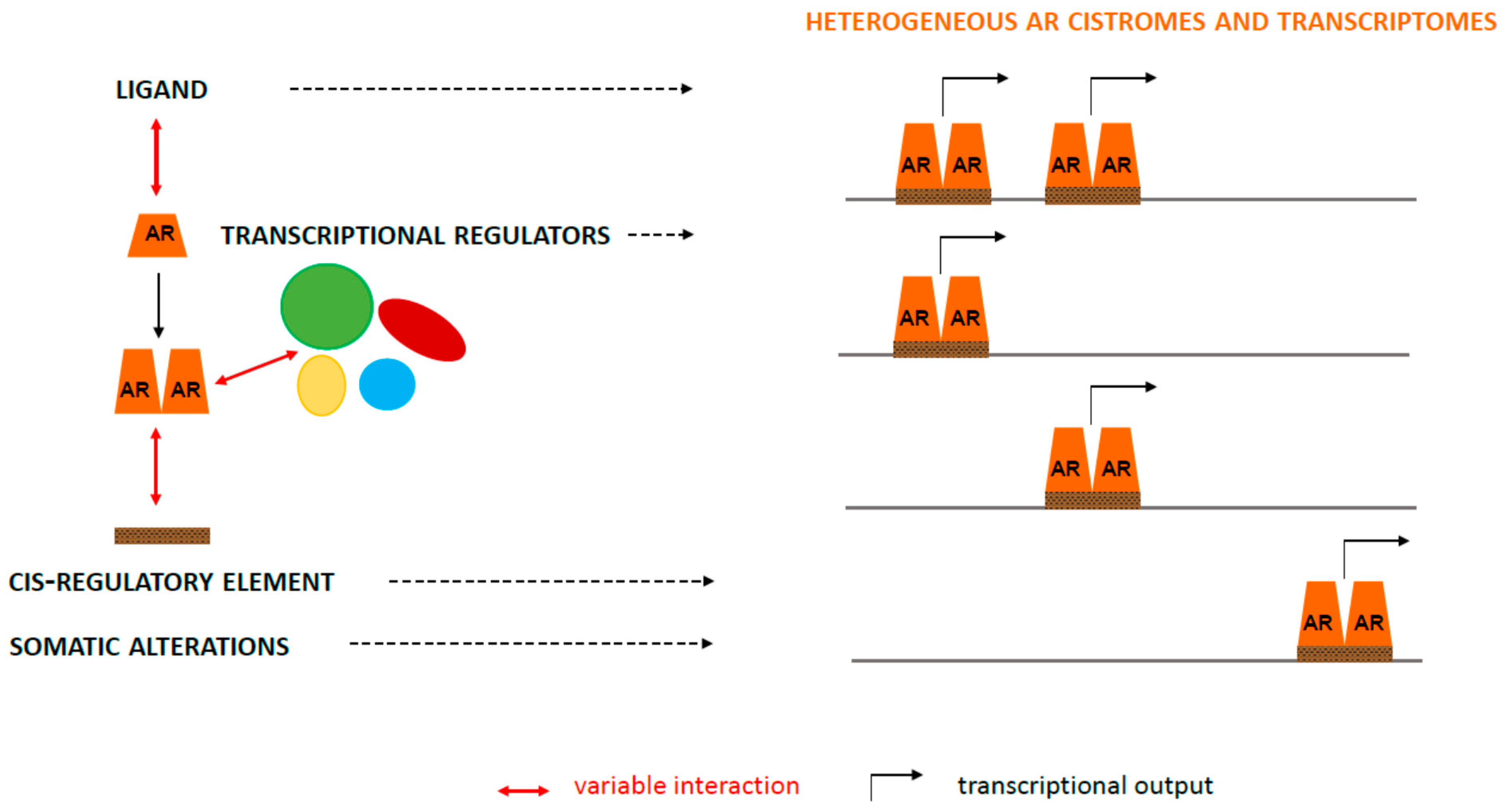 Cancers 13 03947 g002