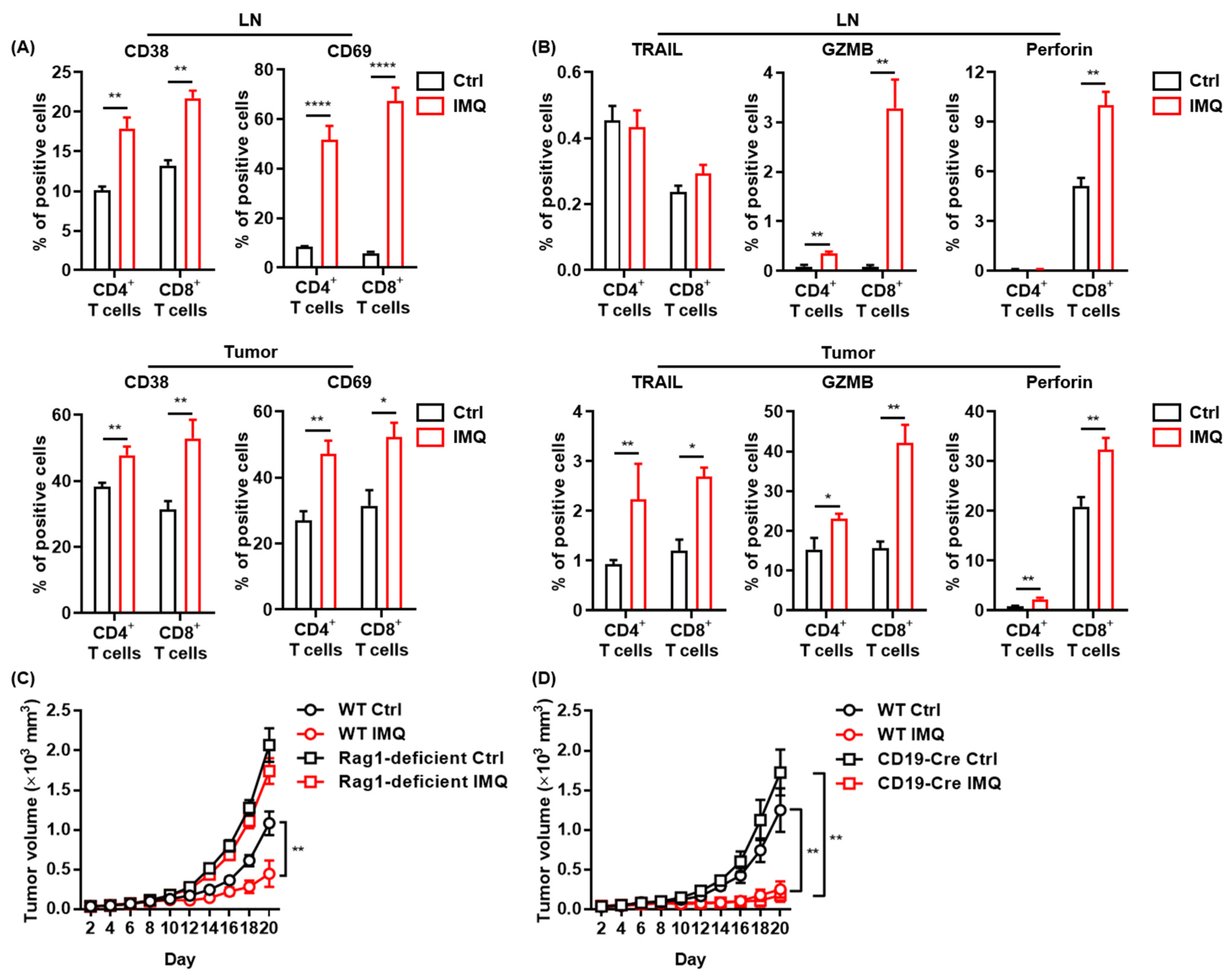 Cancers 13 03948 g003