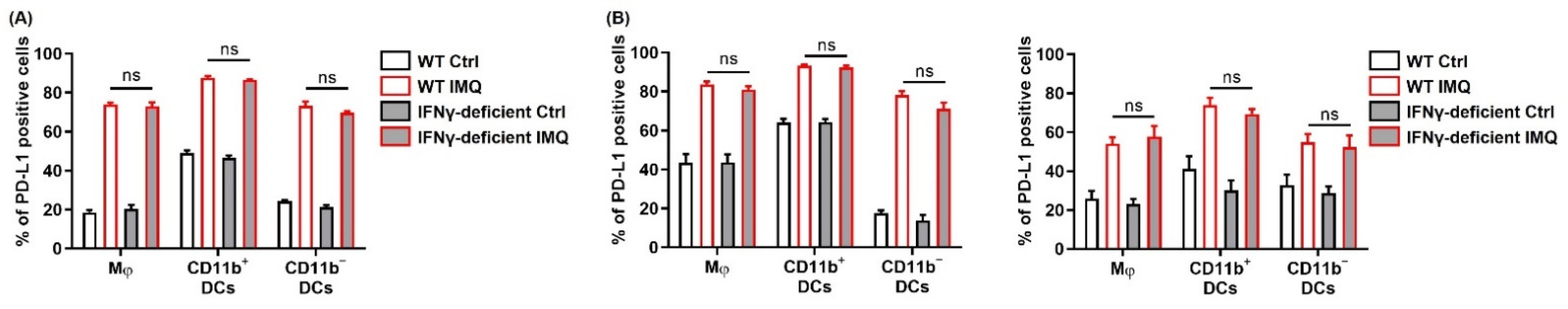 Cancers 13 03948 g006