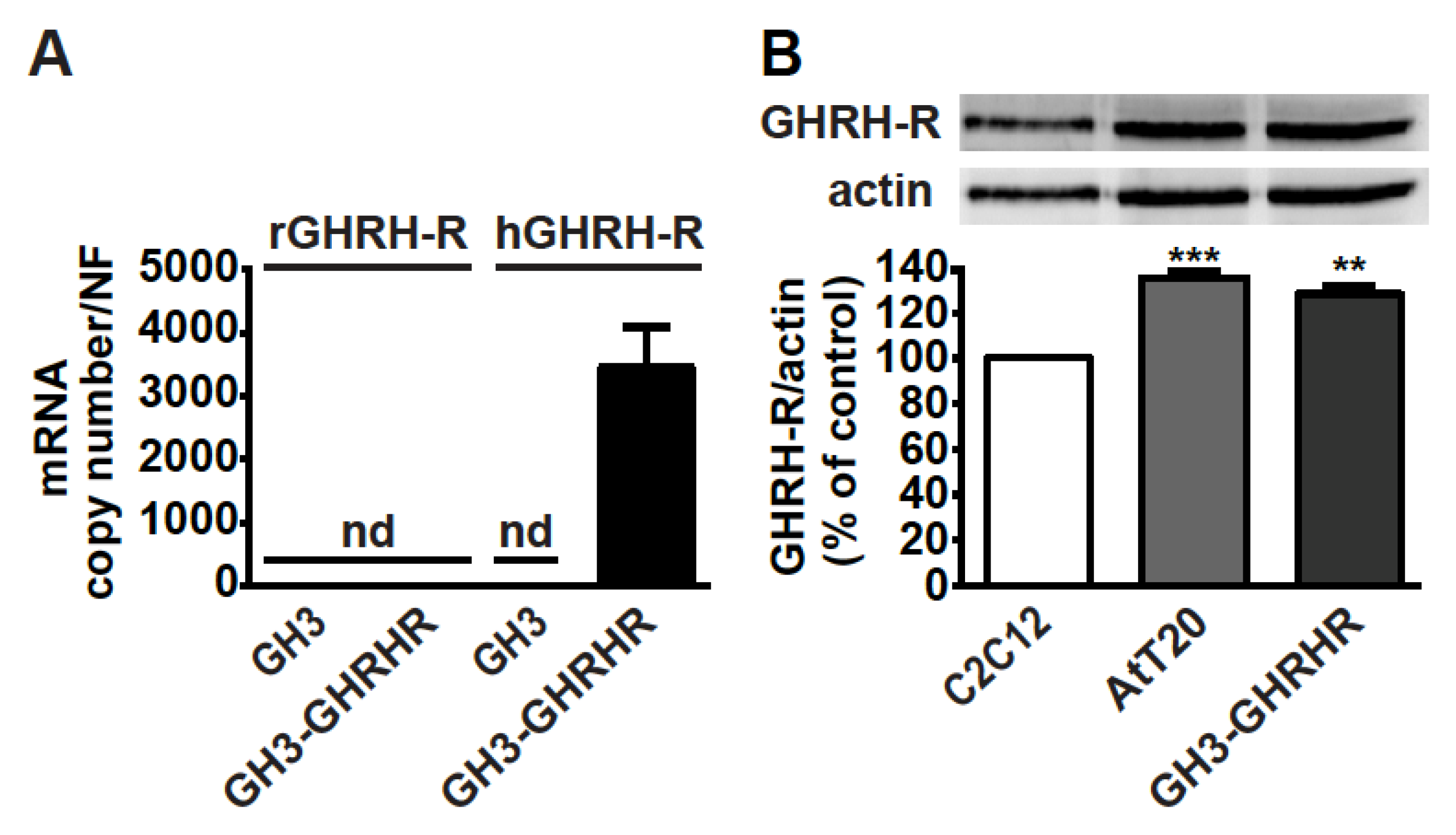 Cancers 13 03950 g001