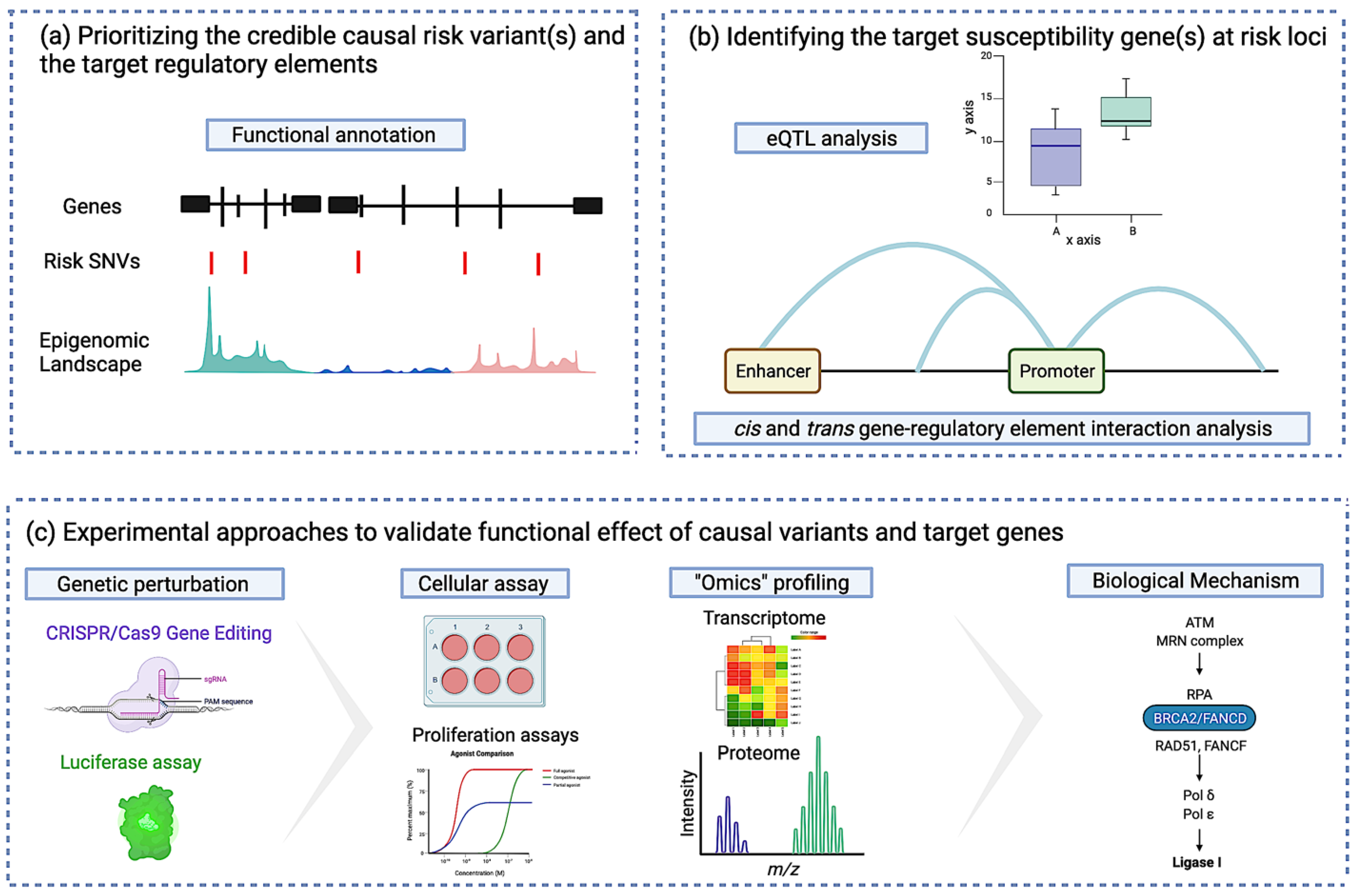 Cancers 13 03953 g003