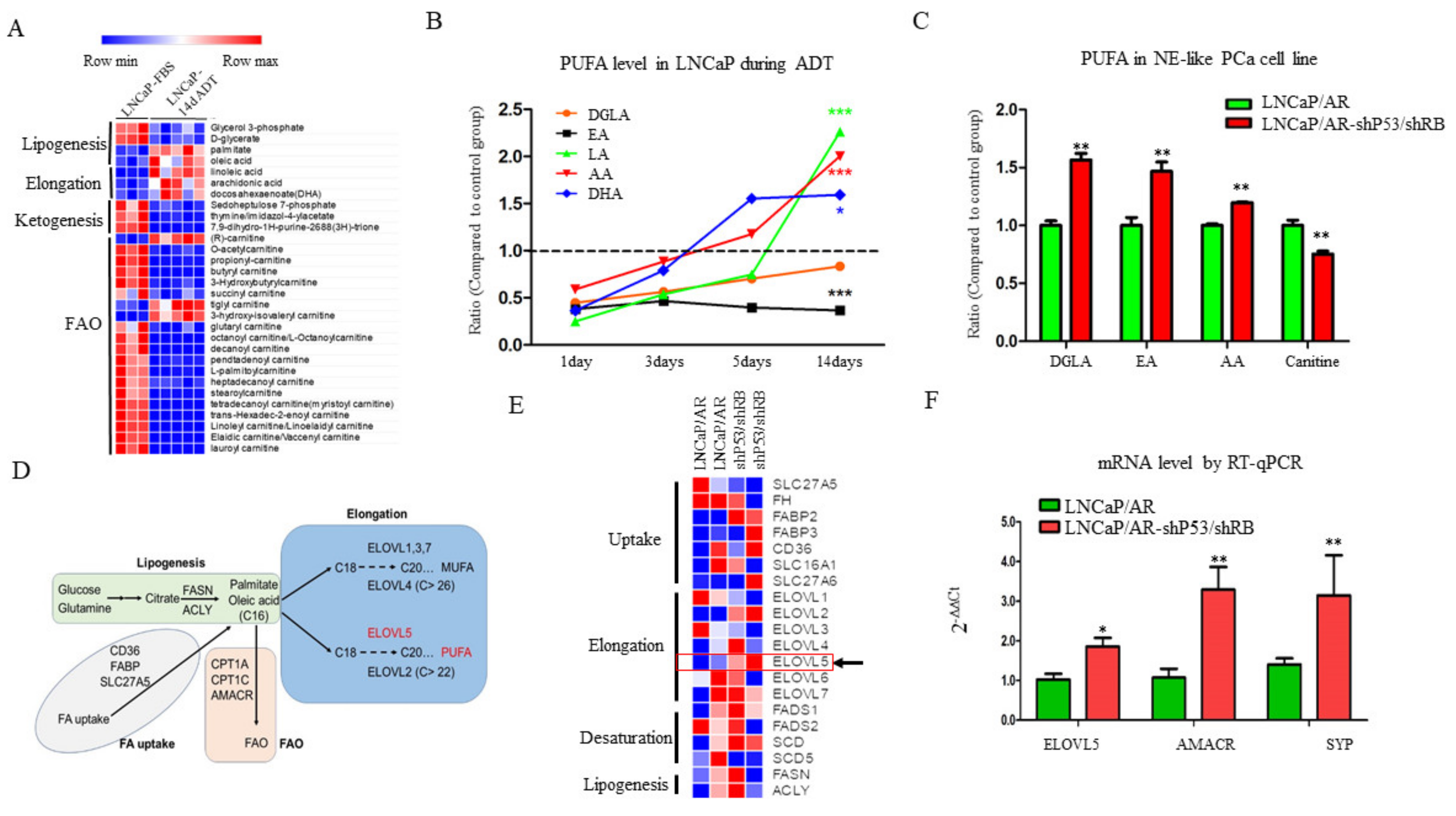 Cancers 13 03957 g001