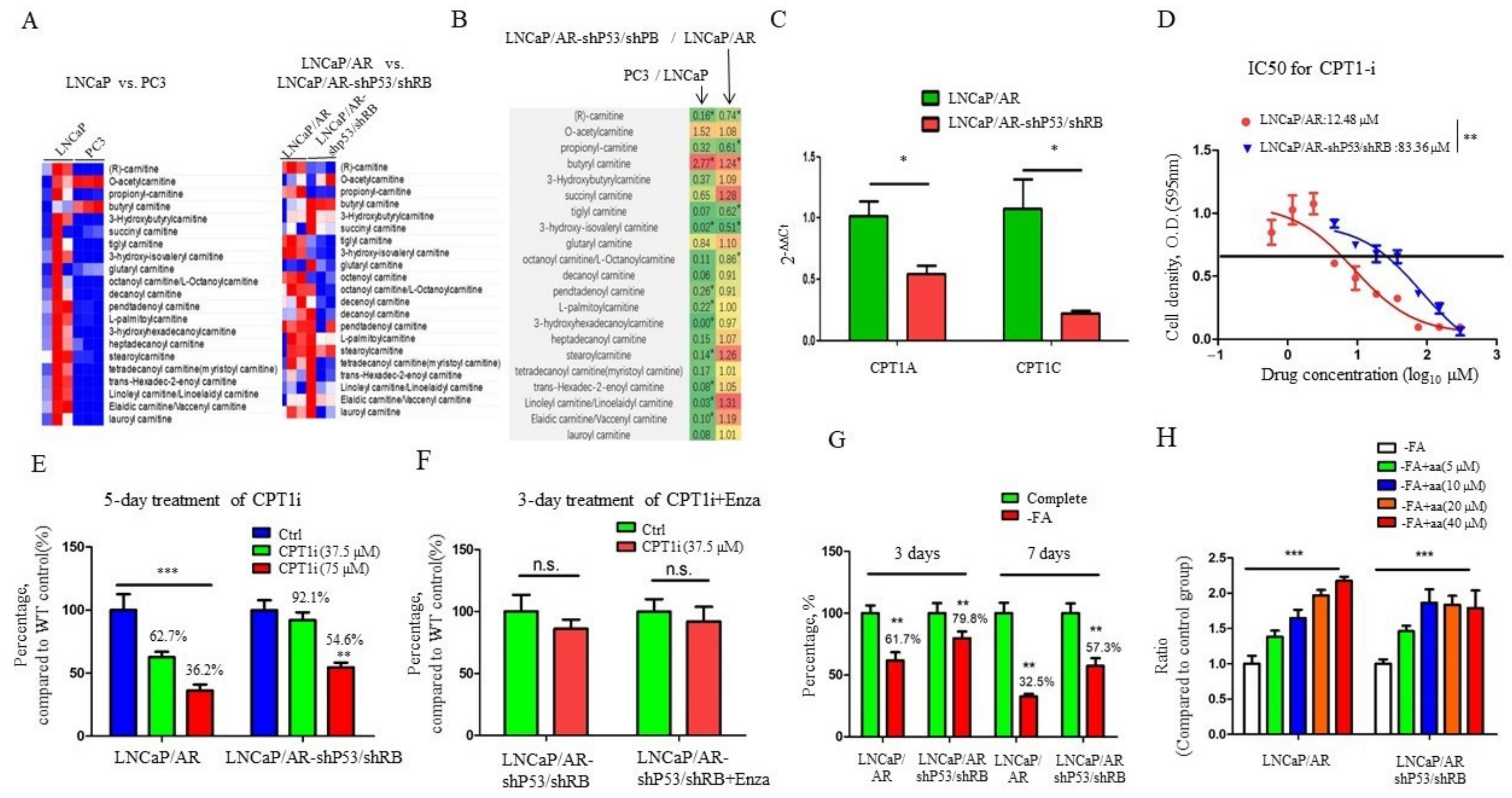 Cancers 13 03957 g002