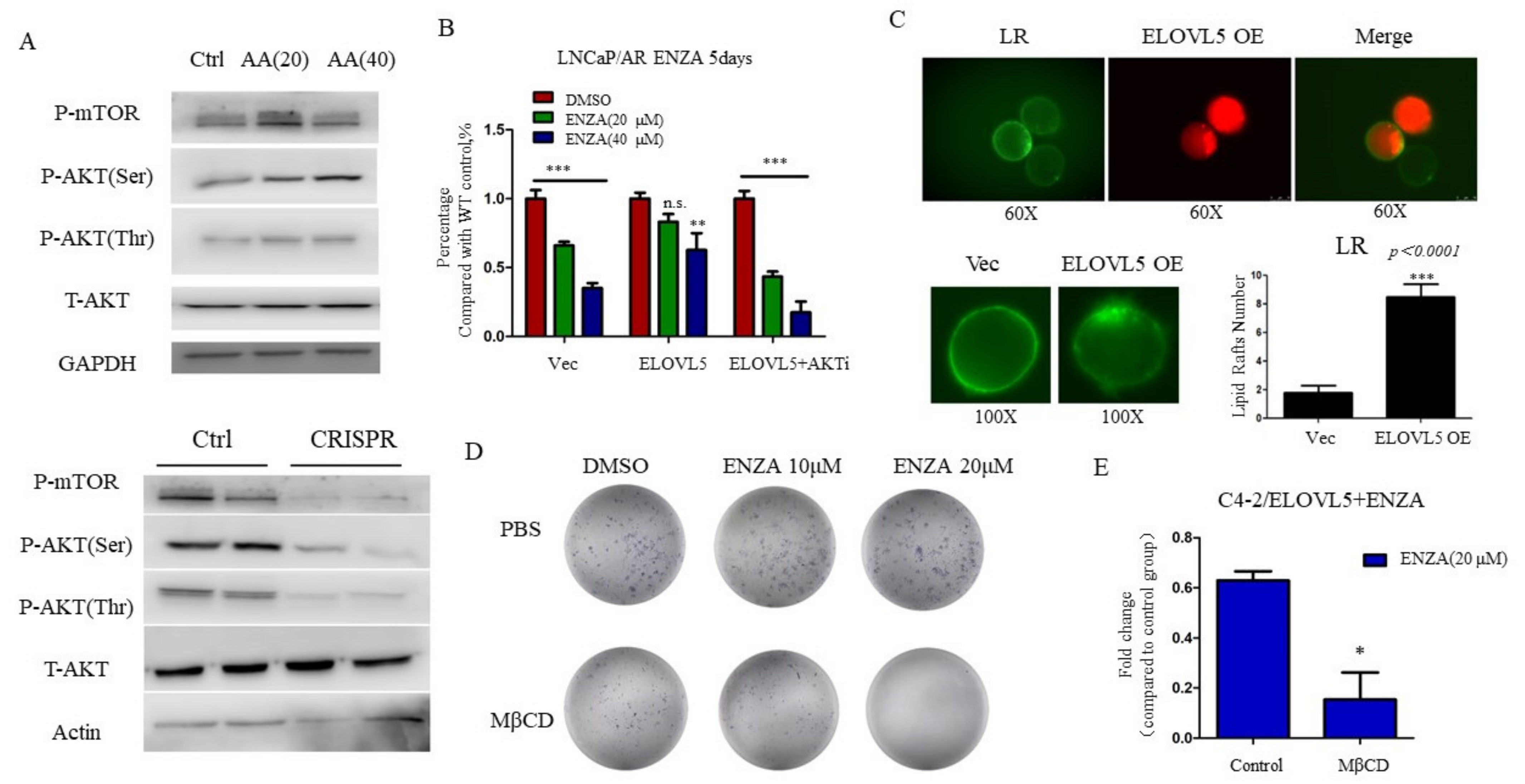 Cancers 13 03957 g004