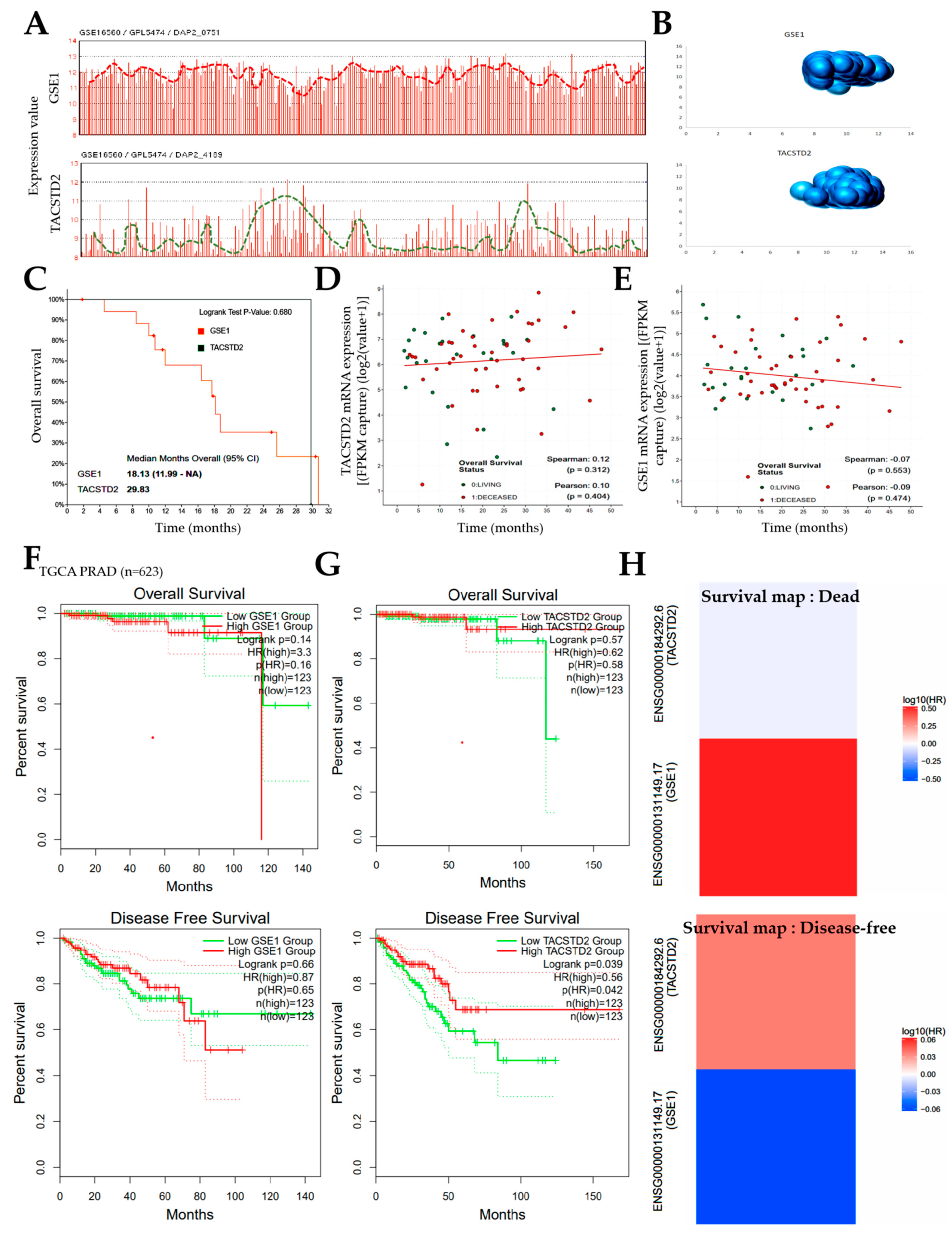 Cancers 13 03959 g003