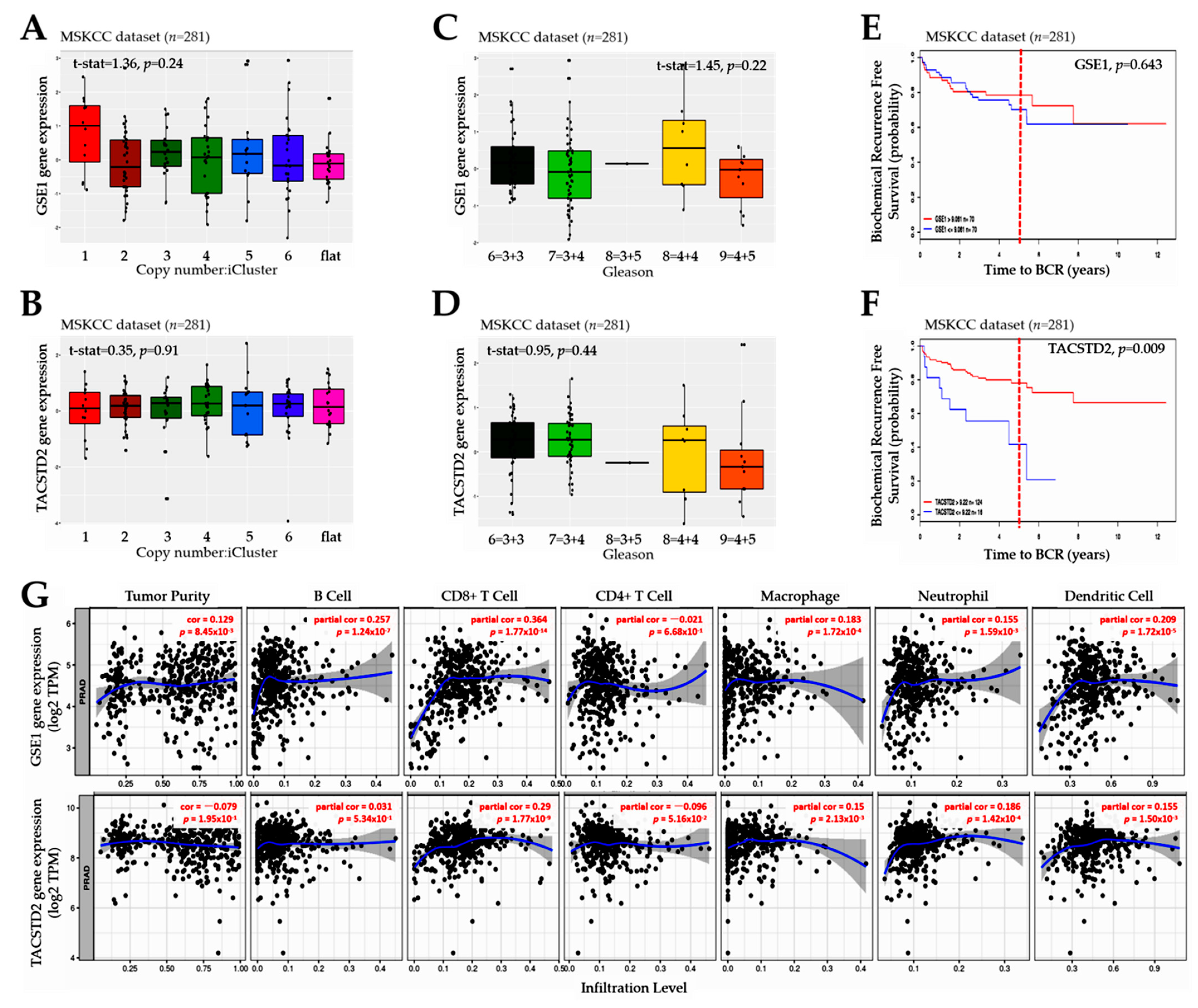 Cancers 13 03959 g004