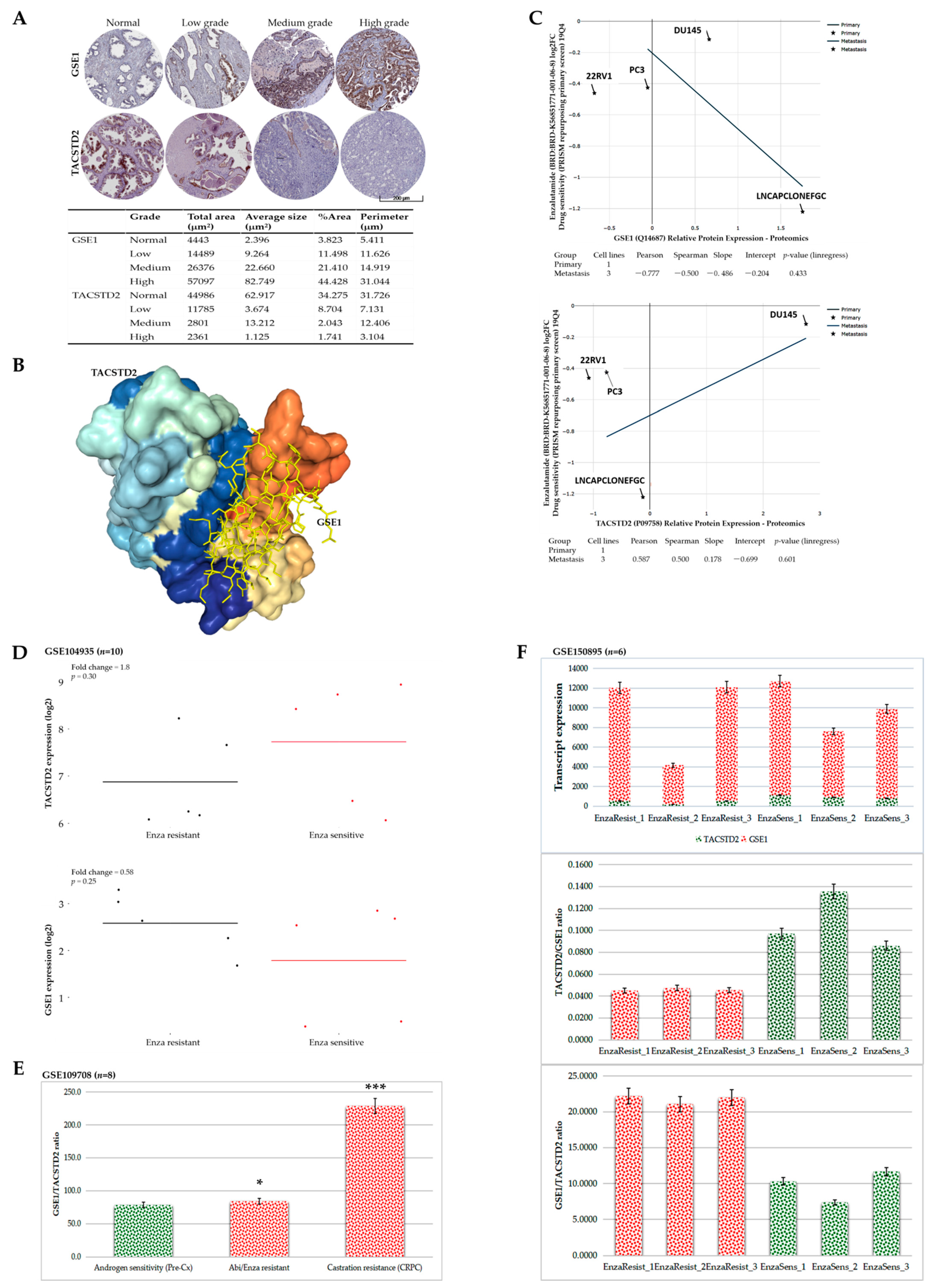 Cancers 13 03959 g006