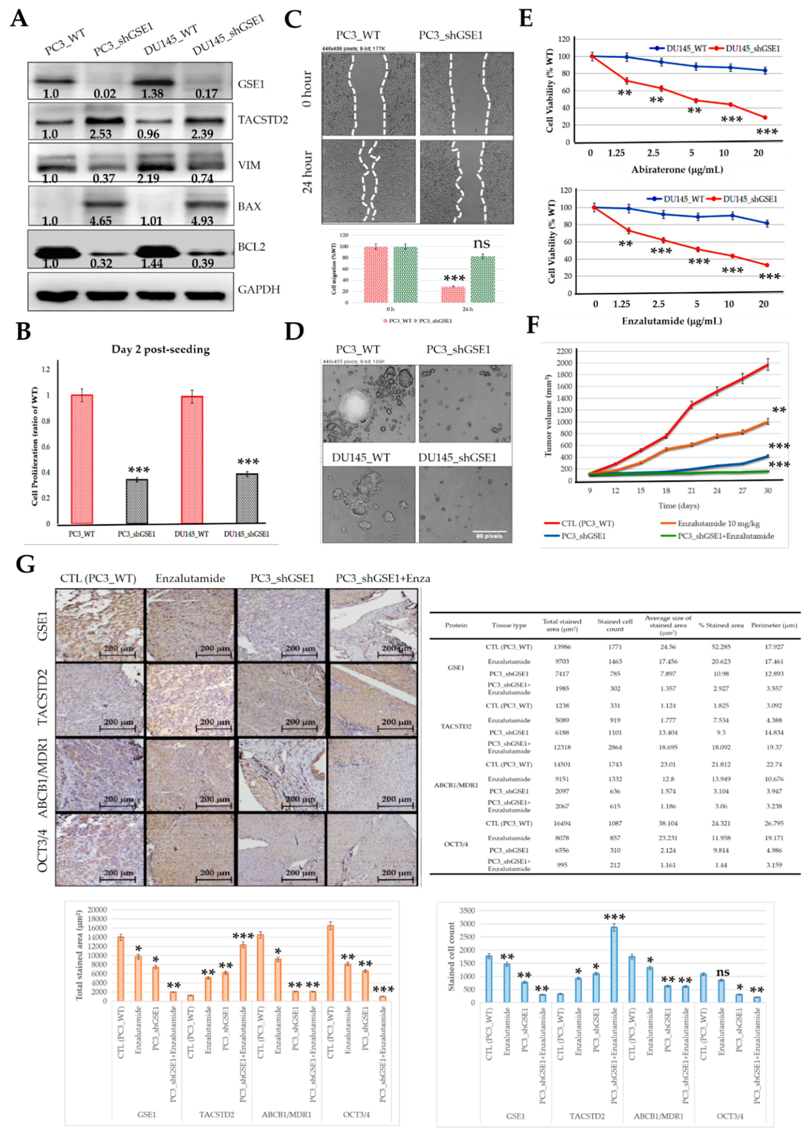 Cancers 13 03959 g007