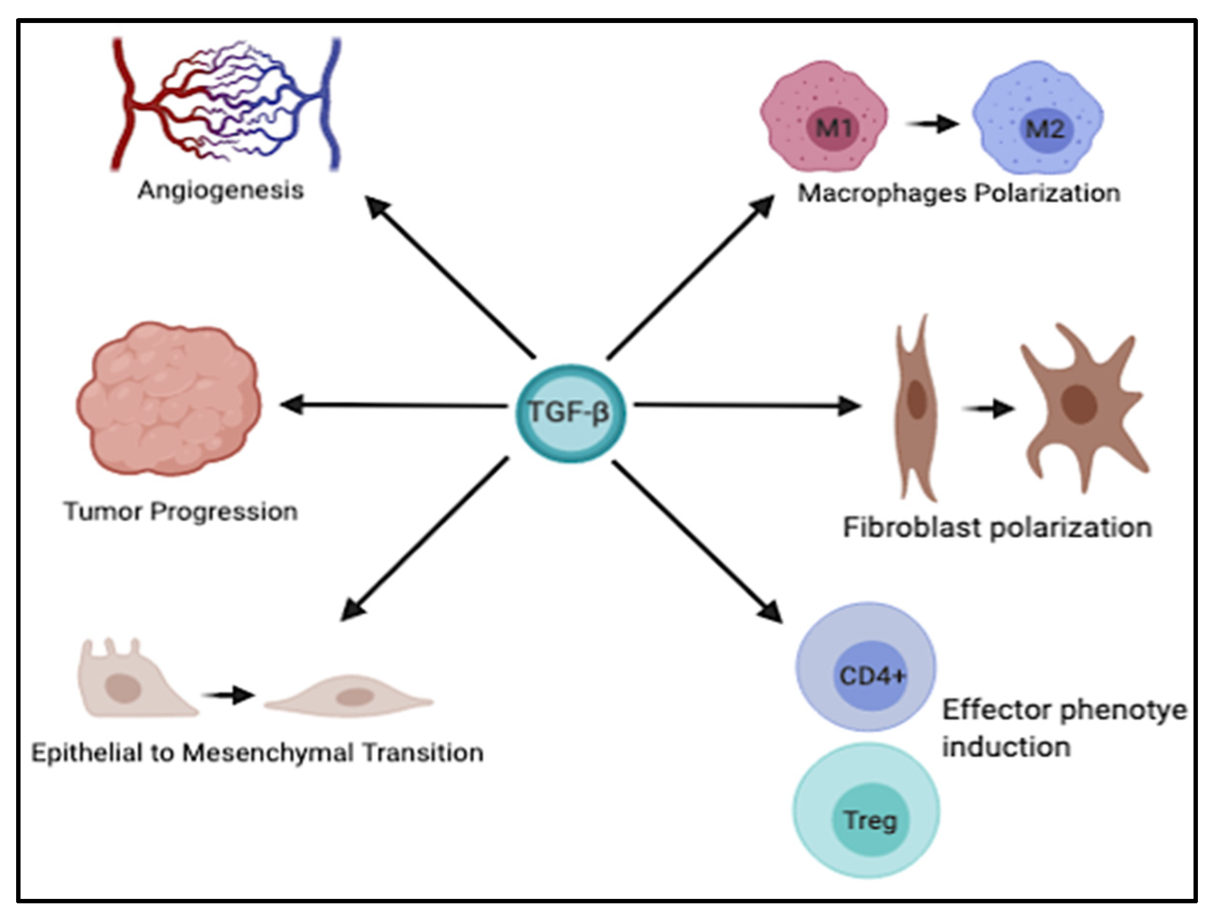Cancers 13 03960 g002