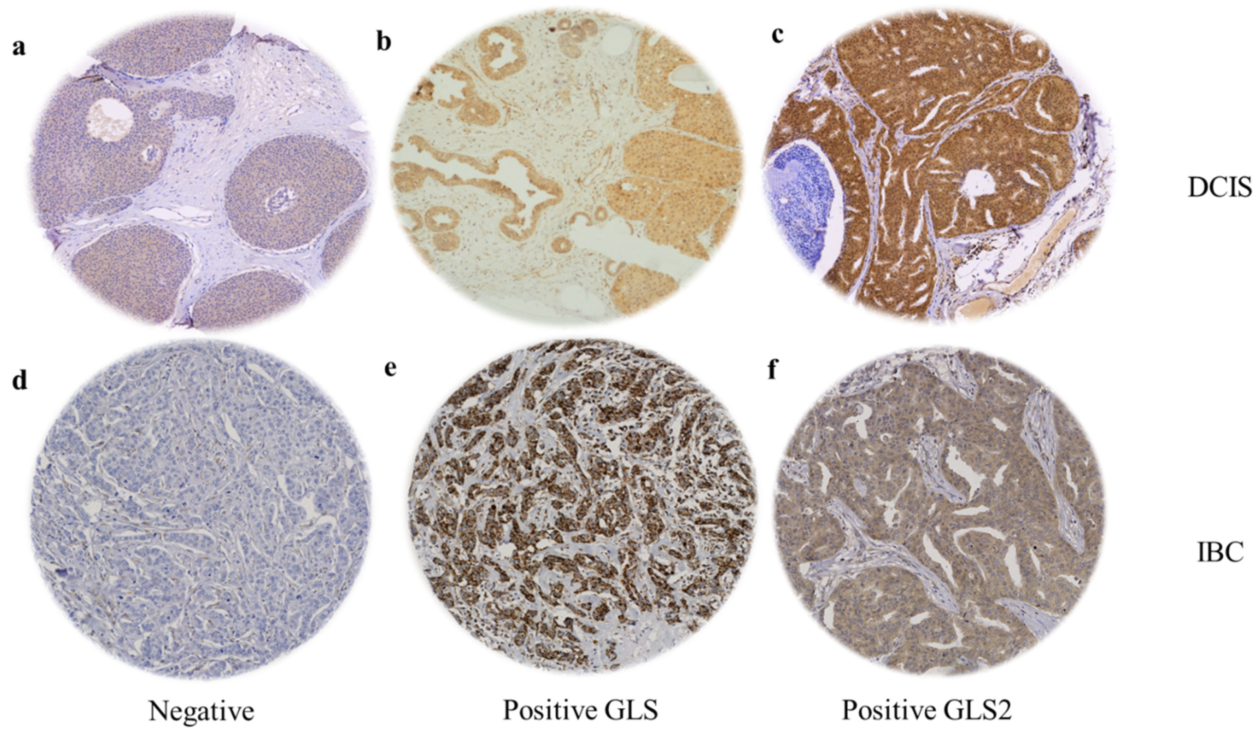 Cancers 13 03963 g001