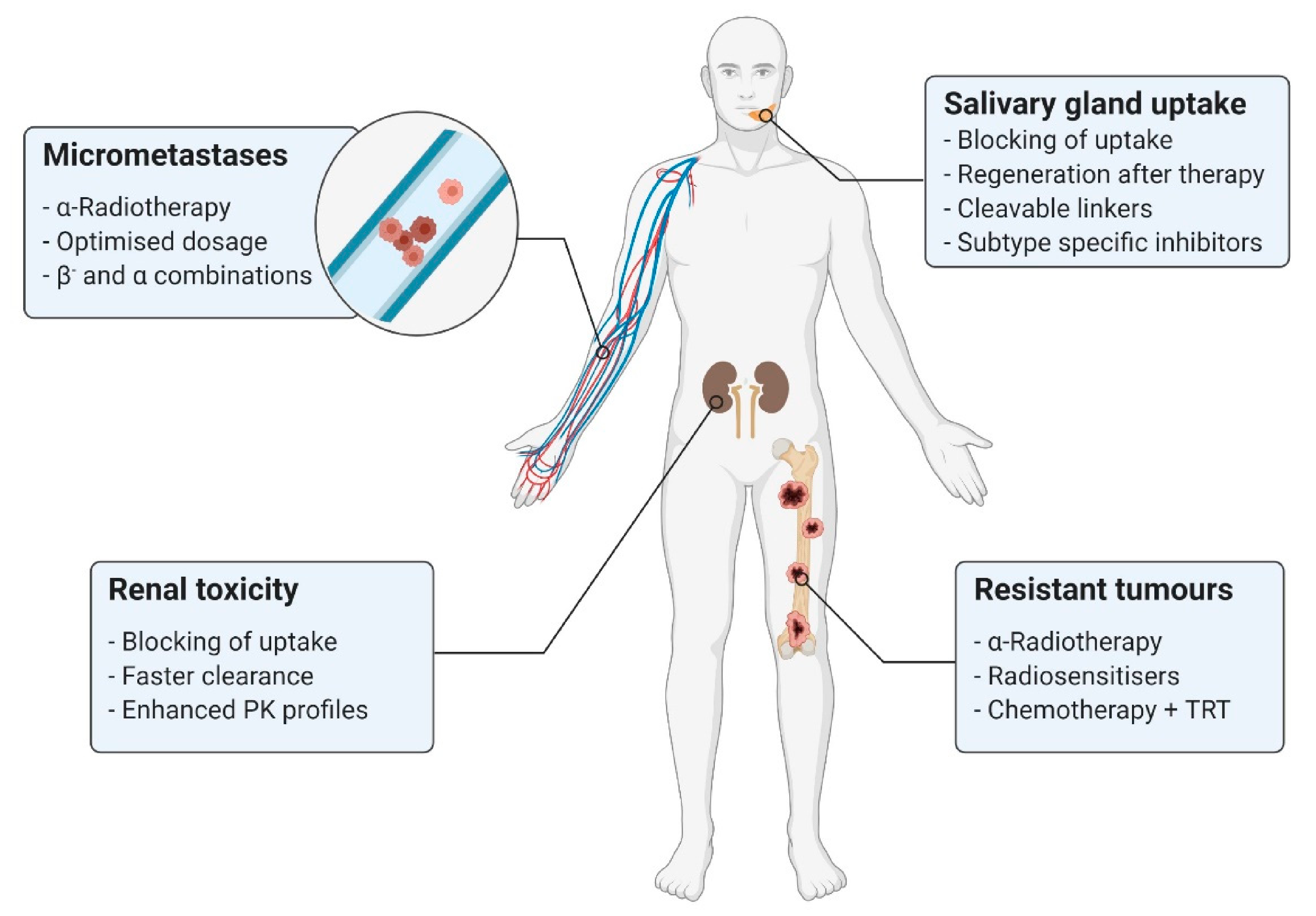 Cancers 13 03967 g004