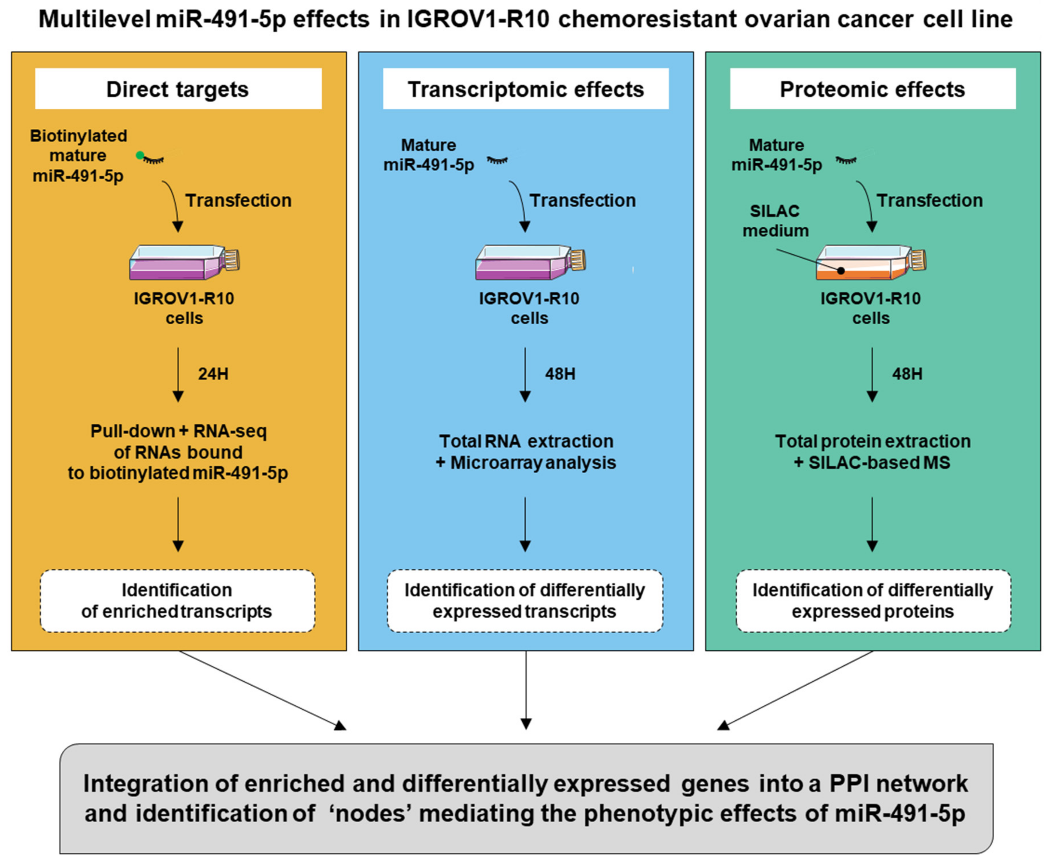 Cancers 13 03970 g001