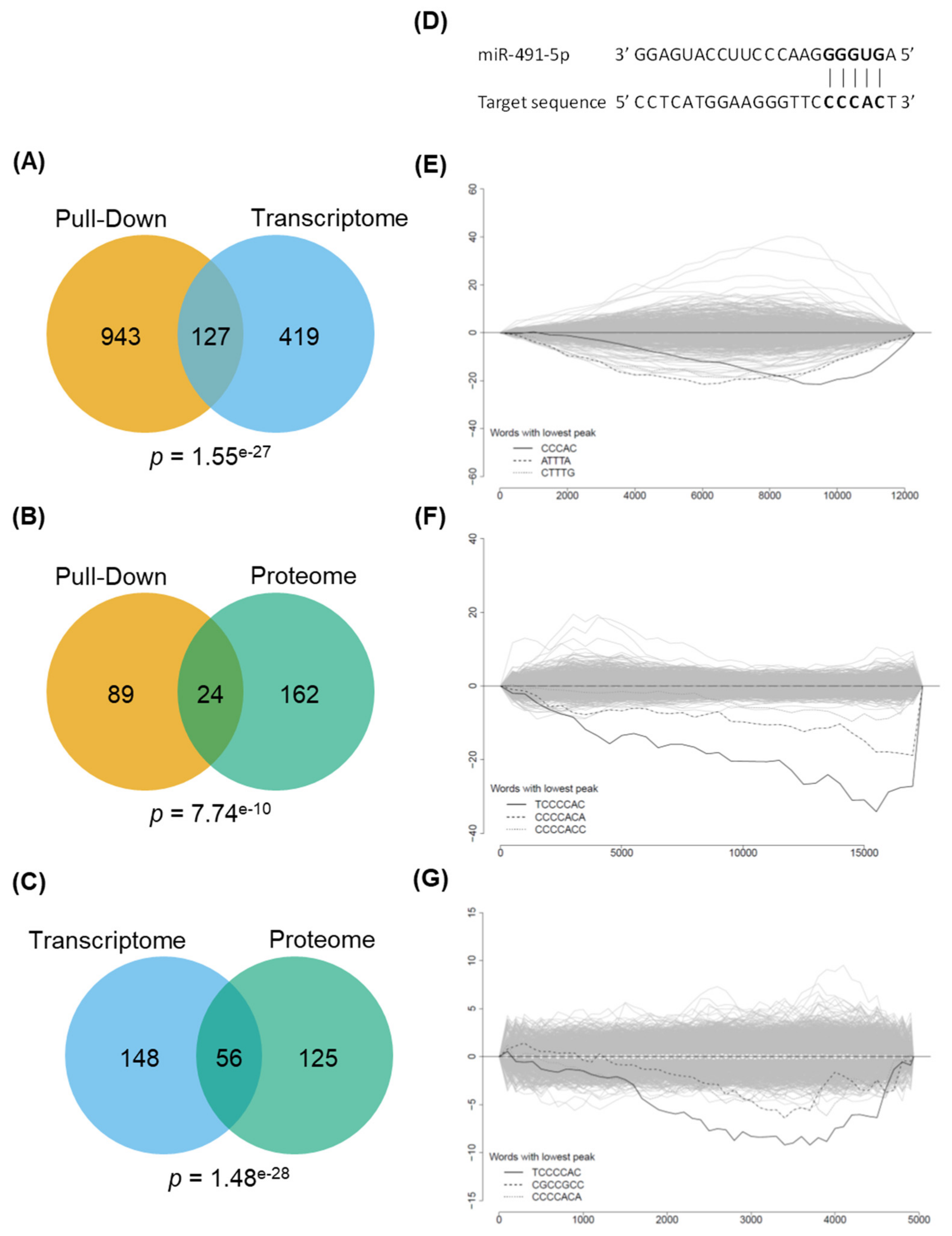 Cancers 13 03970 g002