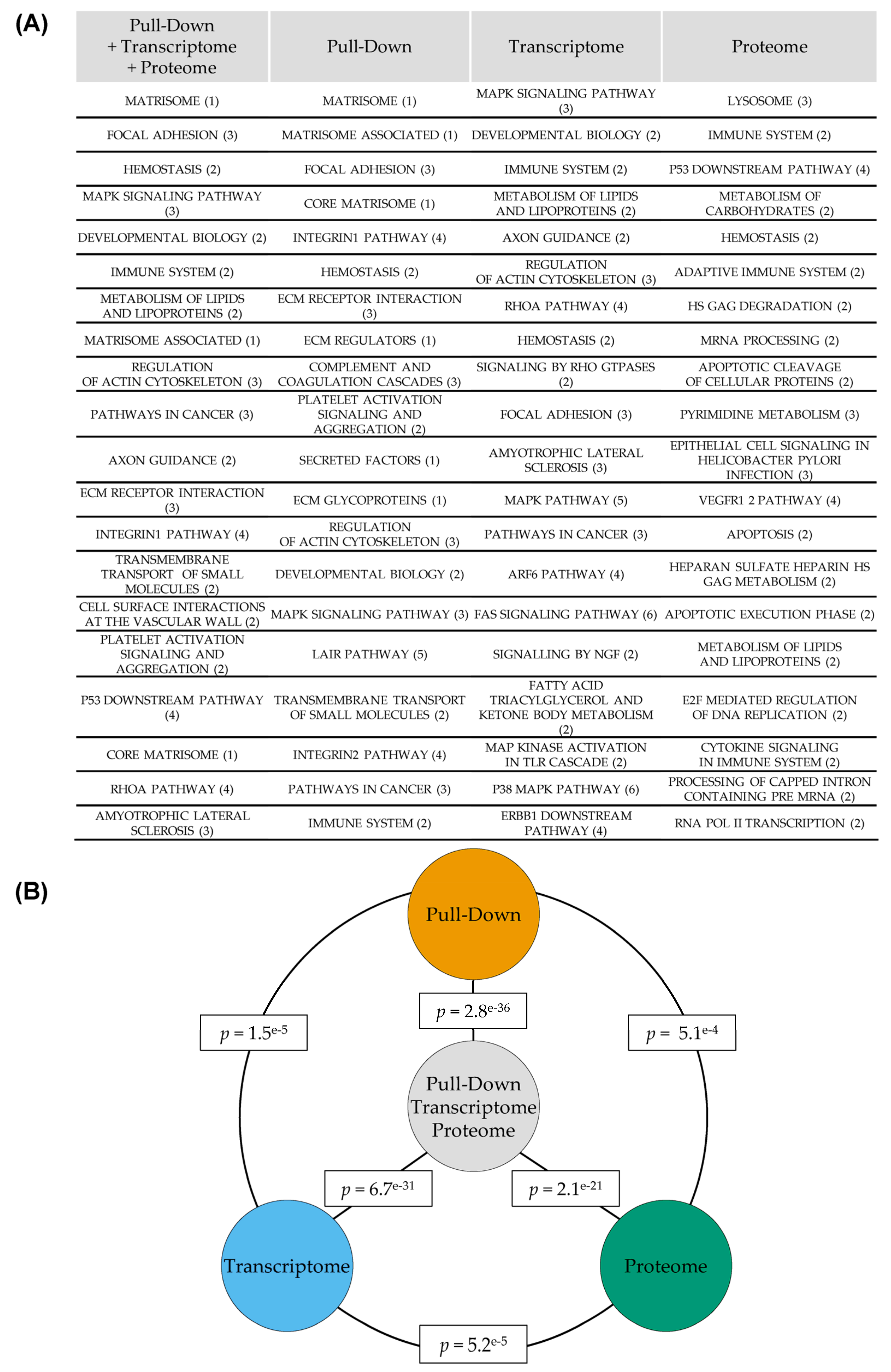 Cancers 13 03970 g003