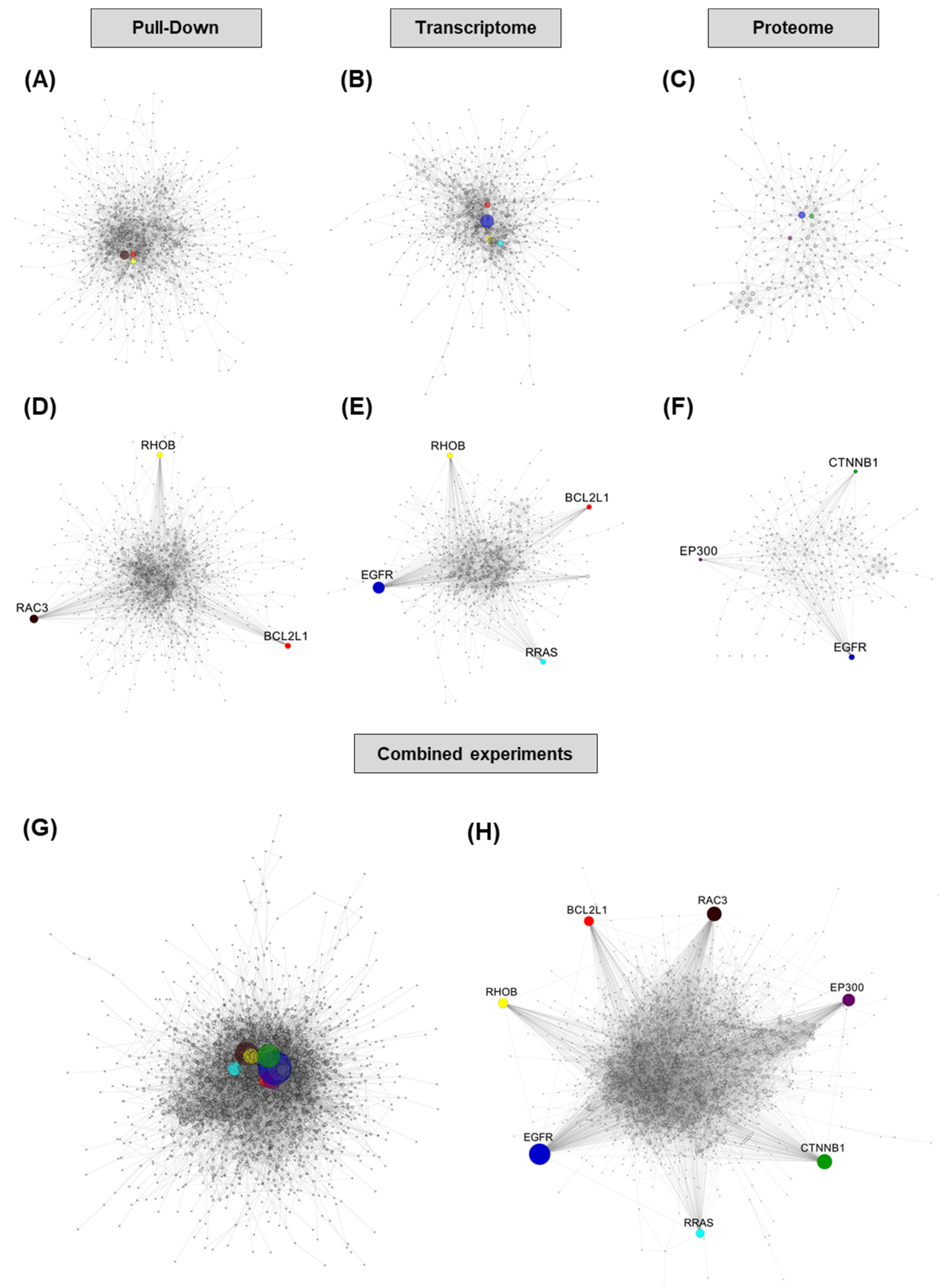 Cancers 13 03970 g004