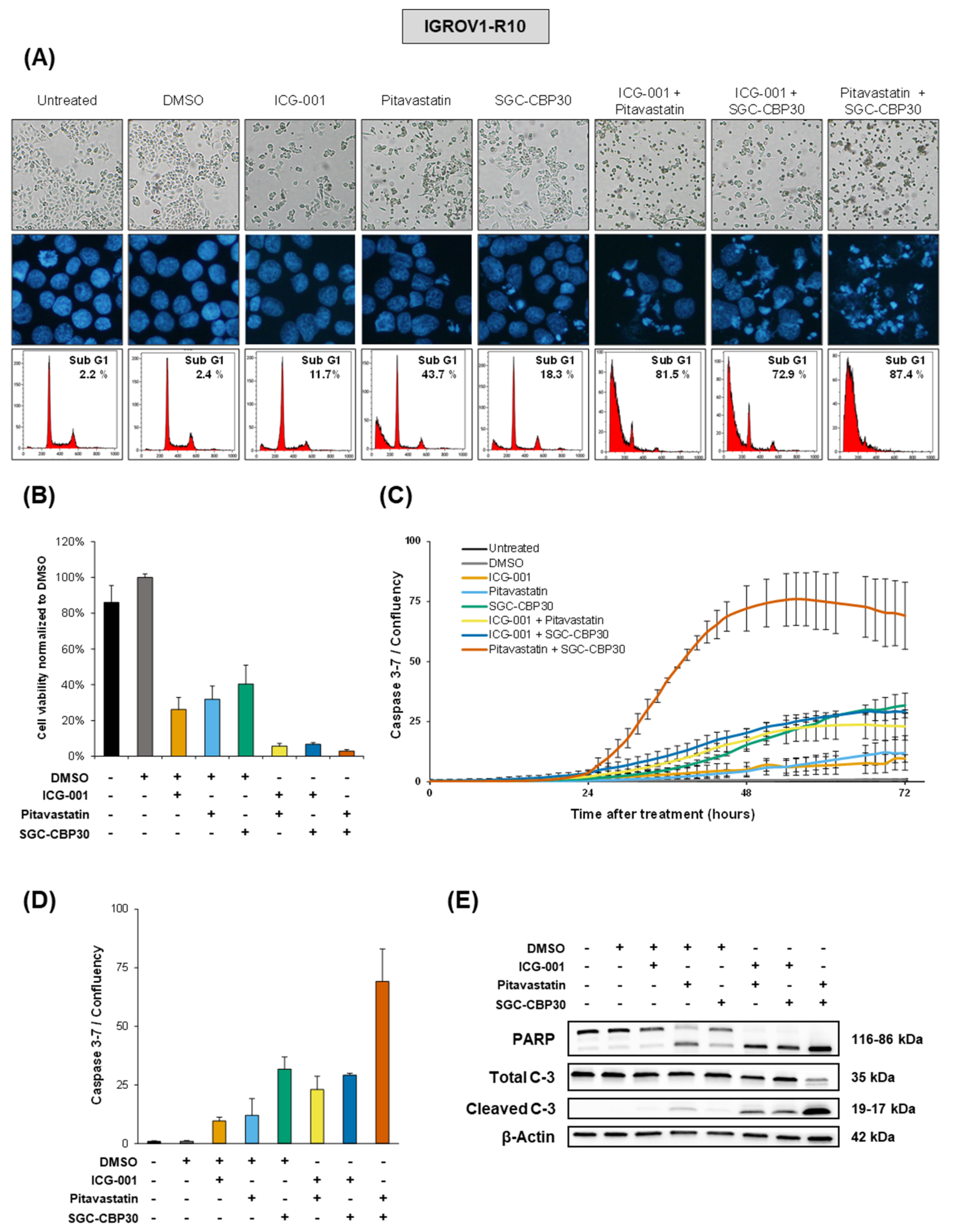 Cancers 13 03970 g005