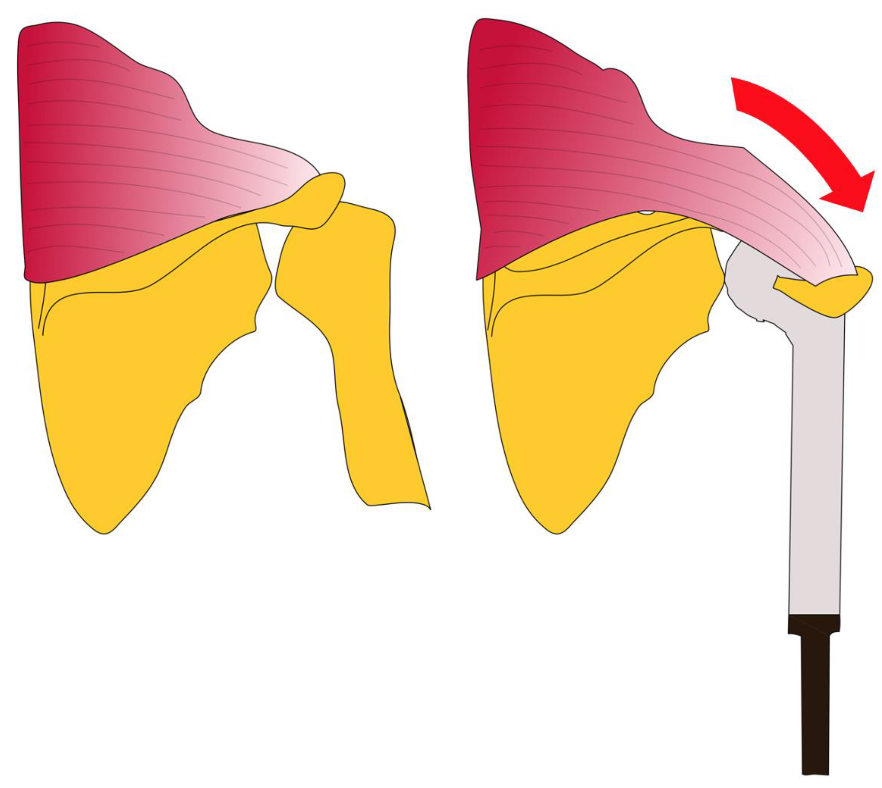 Cancers 13 03971 g002