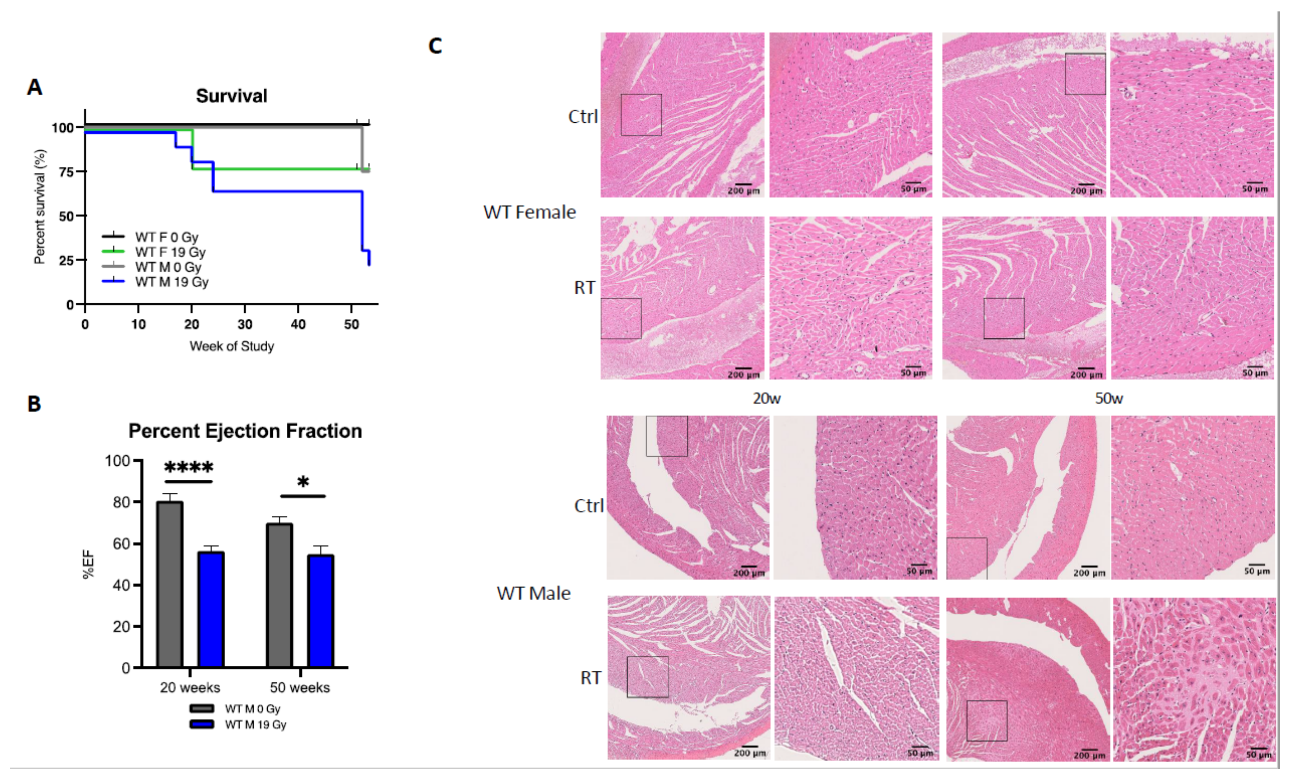 Cancers 13 03973 g002