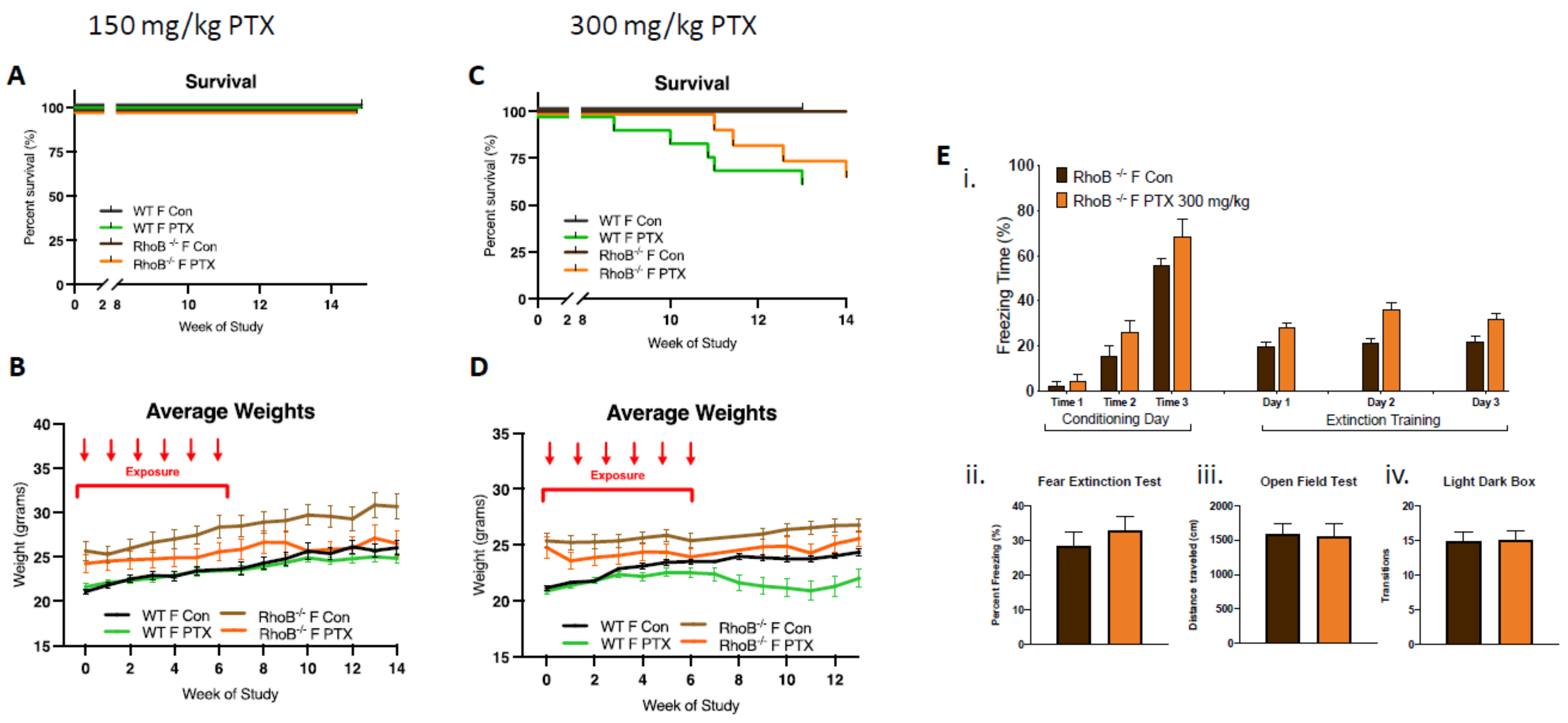 Cancers 13 03973 g003